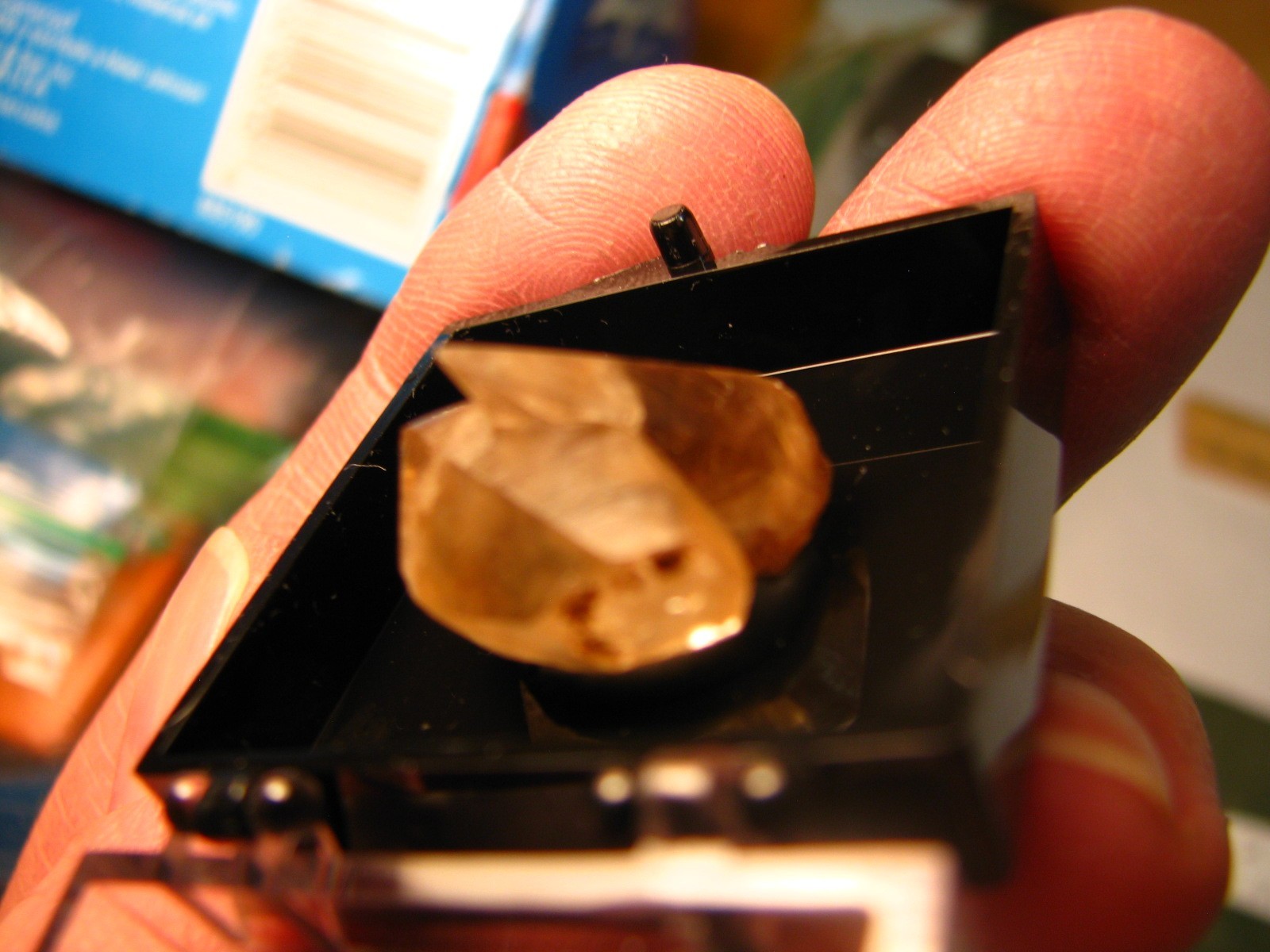 GOLDEN DOGTOOTH CALCITE CRYSTALS THUMBNAIL IN CASE MARBLEHEAD QUARRY OHIO #037