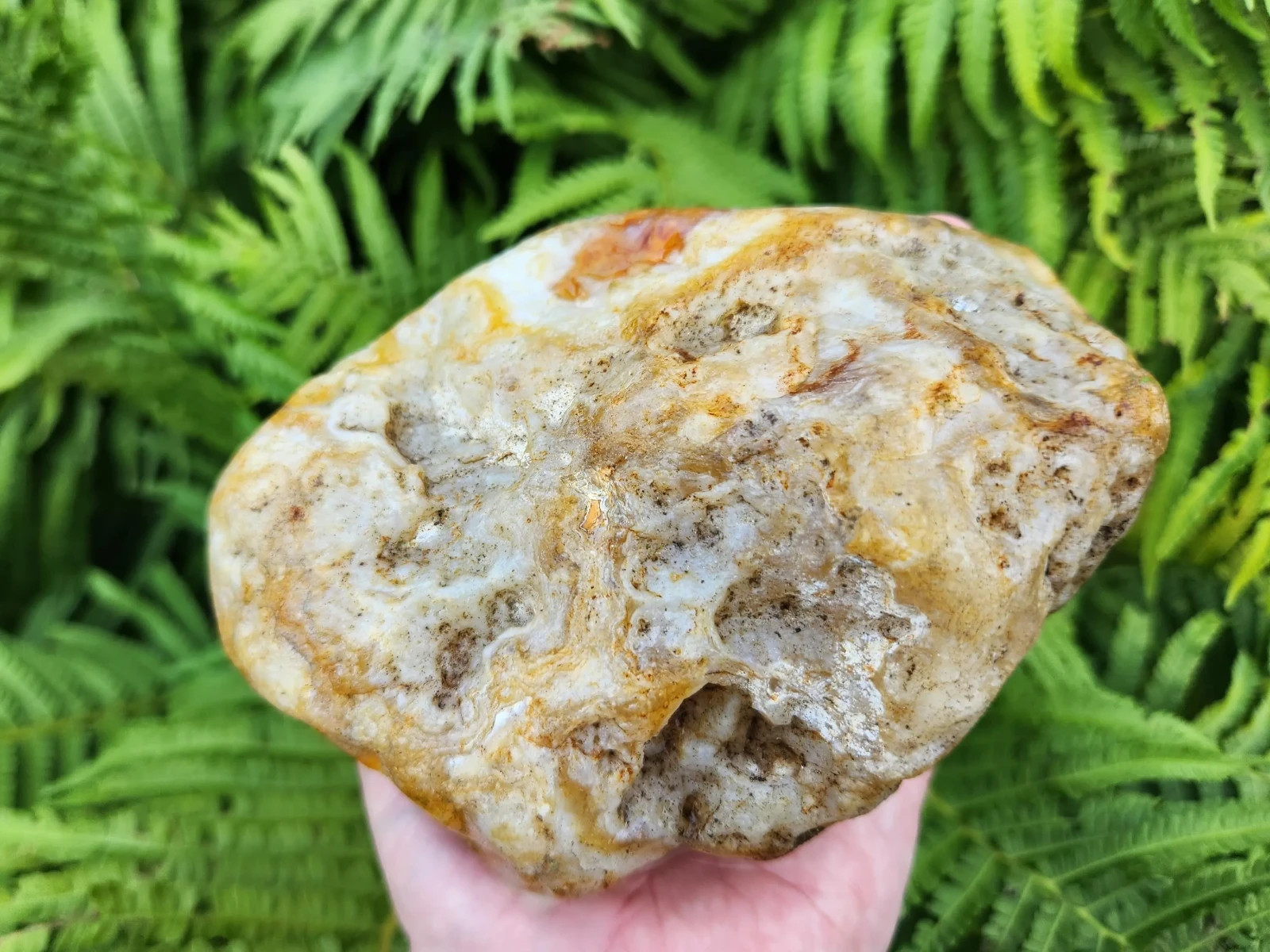 Large Oregon River Agate w/ Waterline Features, 2 lbs 4 oz, Chalcedony, Lapidary