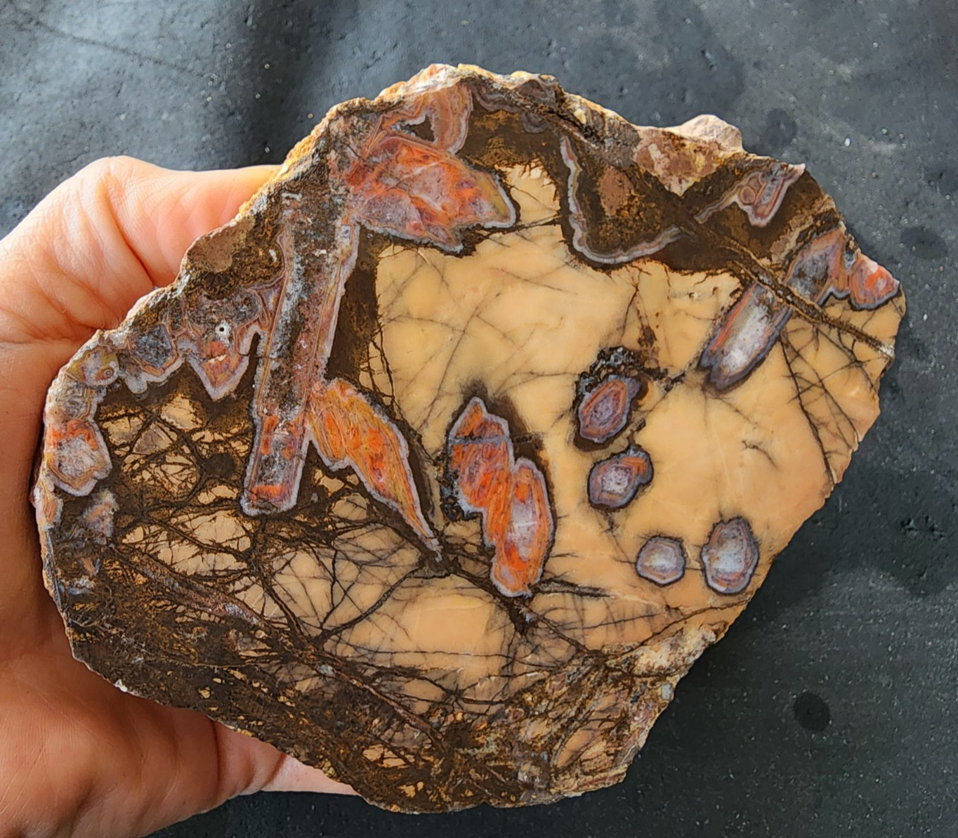 3.3 lbs (1.5 kg) Unpolished Agate, Almus Agate, Large Agate Pair, アゲートのペア, العقي
