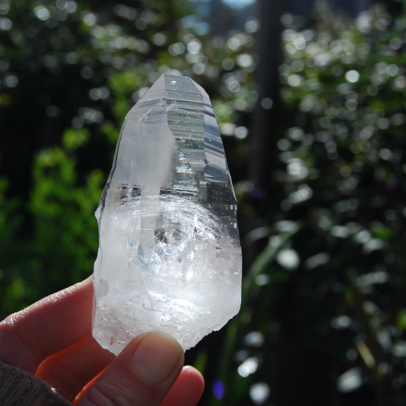 4.25in 227g Colombian Lemurian Seed Crystal Laser Receiver, Self Healed Optical