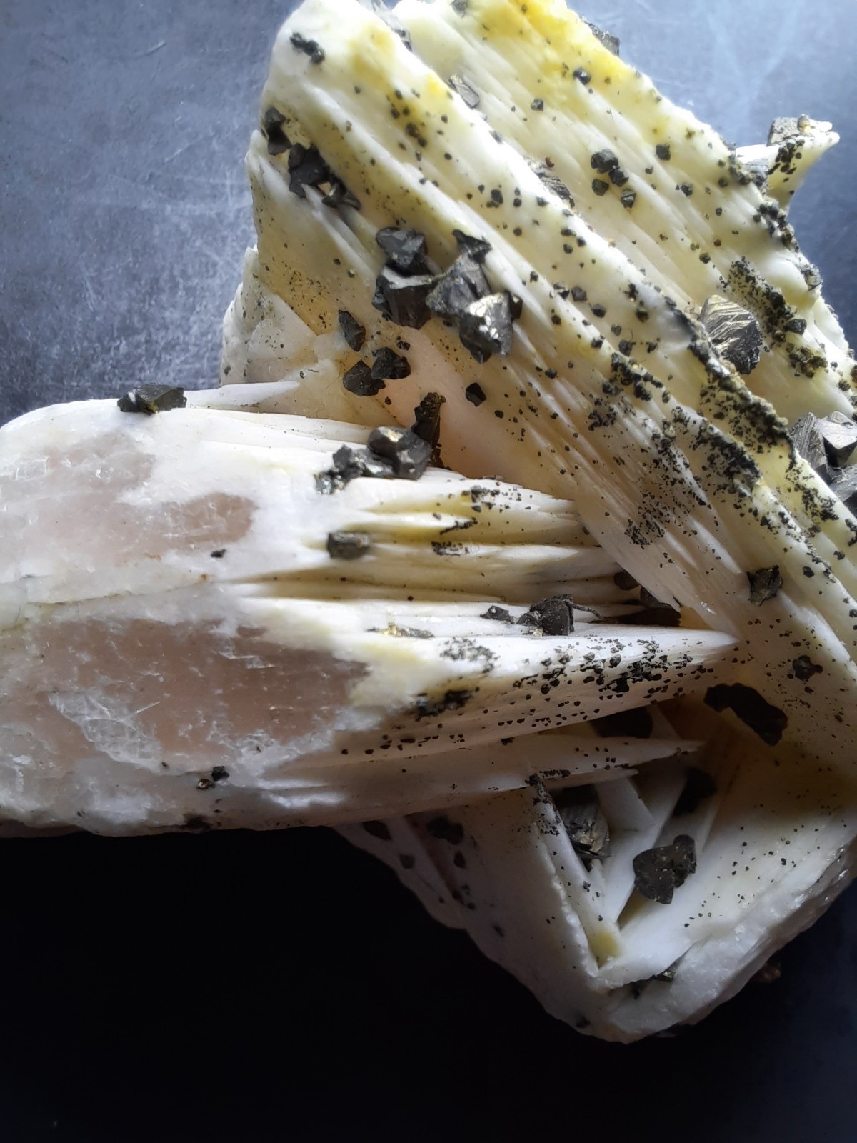Pyrite Crystals on Barite, Morocco 2 1/2 x 1 5/8th x 1 inch