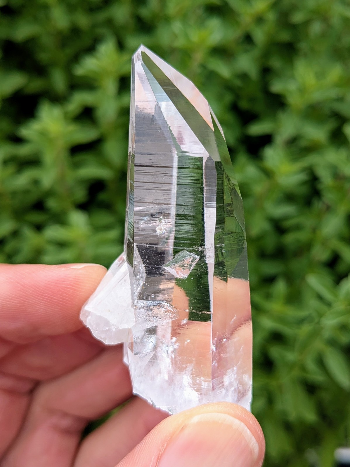 Lemurian Quartz Crystal – Penas Blancas, Colombia