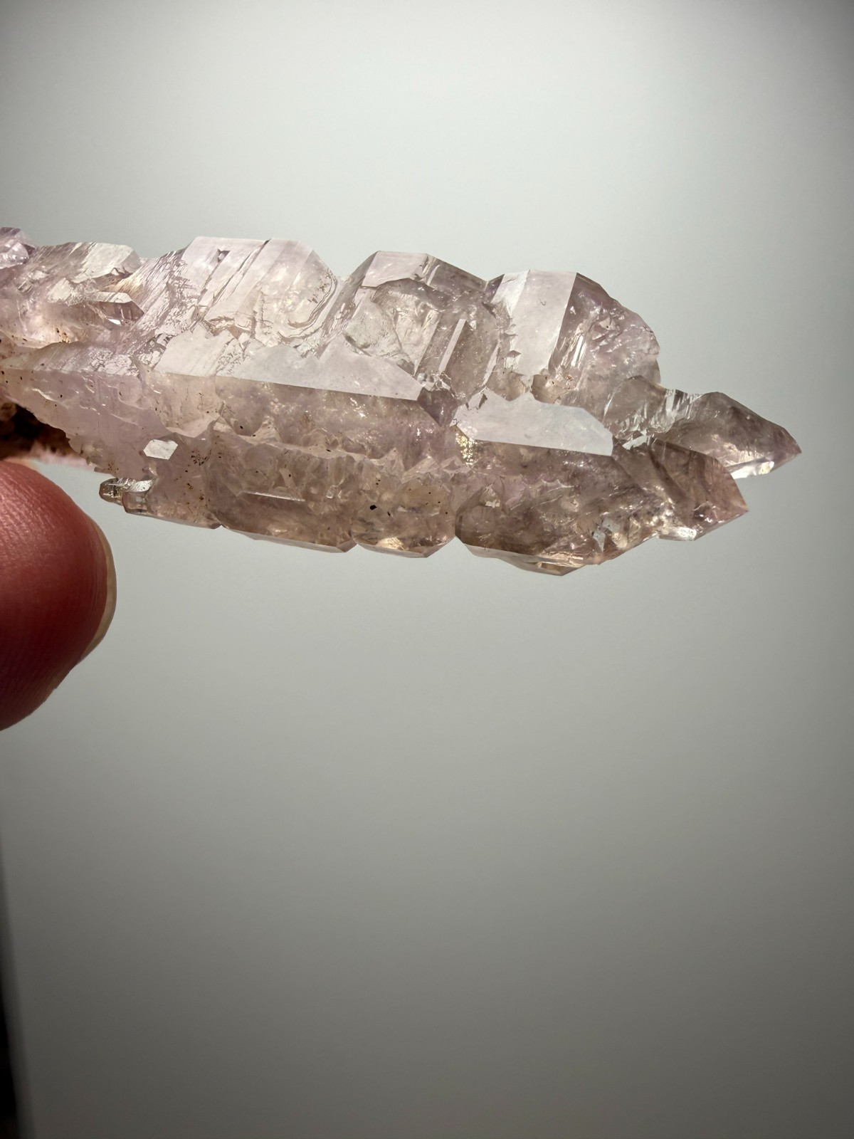 AMAZING Jacare Amethyst- Buridan’s Mule Claim, New Mexico- RARE PIECE!