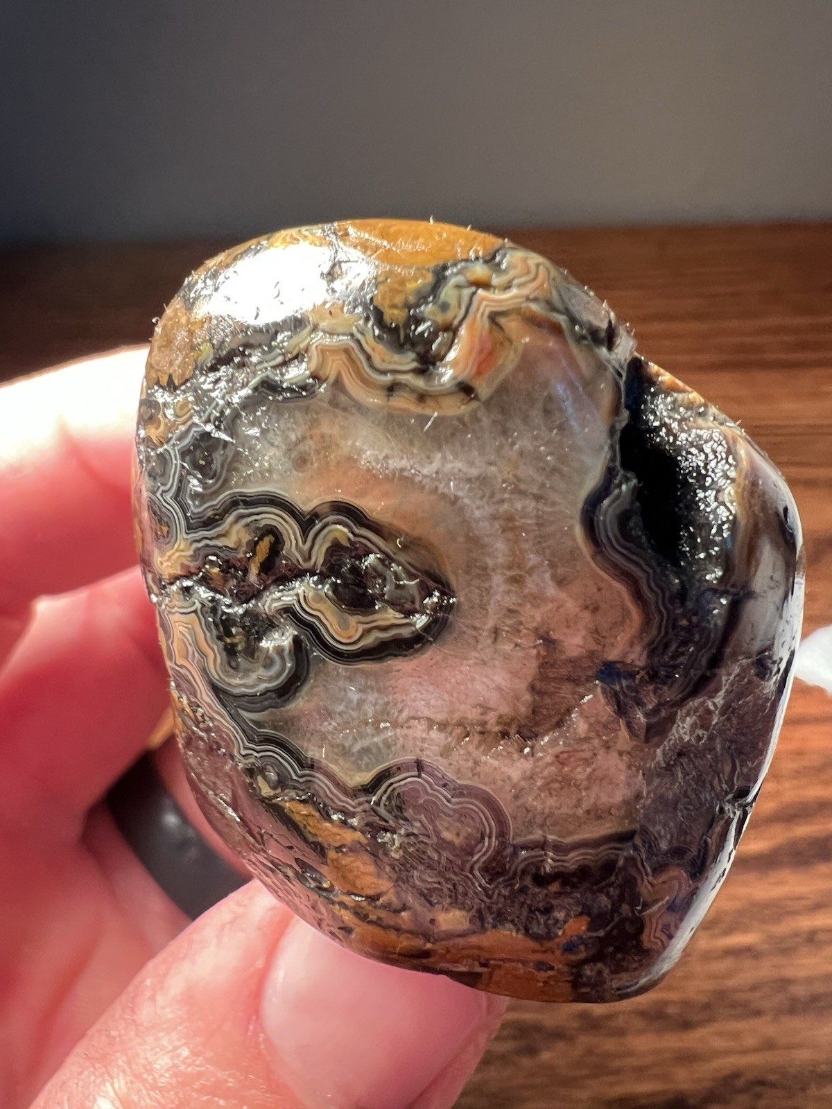 Very Nice Museum Quality Nebraska Fairburn Agate 5.25 oz 2.75×1.5×1.5”