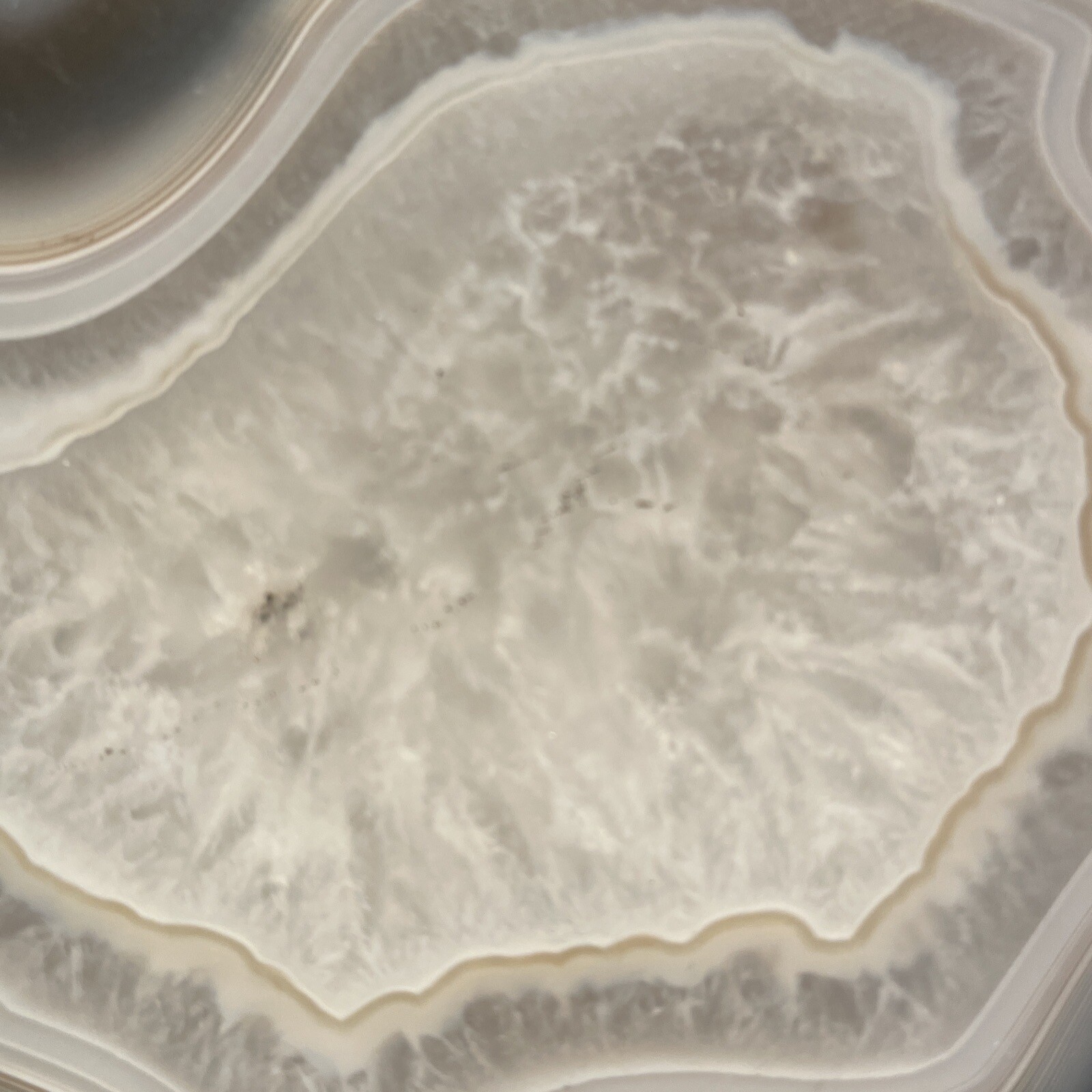 HUGE 3+ Pound Agate!! Cut, Not Polished BEAUTIFUL!!!