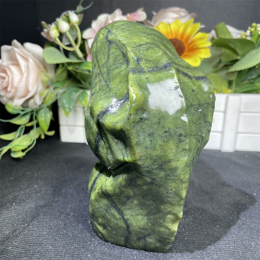 3.4LB 6.1″ Natural Xiuyan Jade Dinosaur Head Crystal Reiki Carving Decor Gift