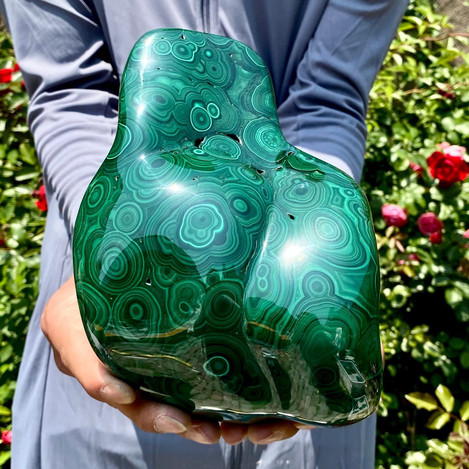 8.5LB Natural glossy Malachite egg transparent cluster rough mineral sample