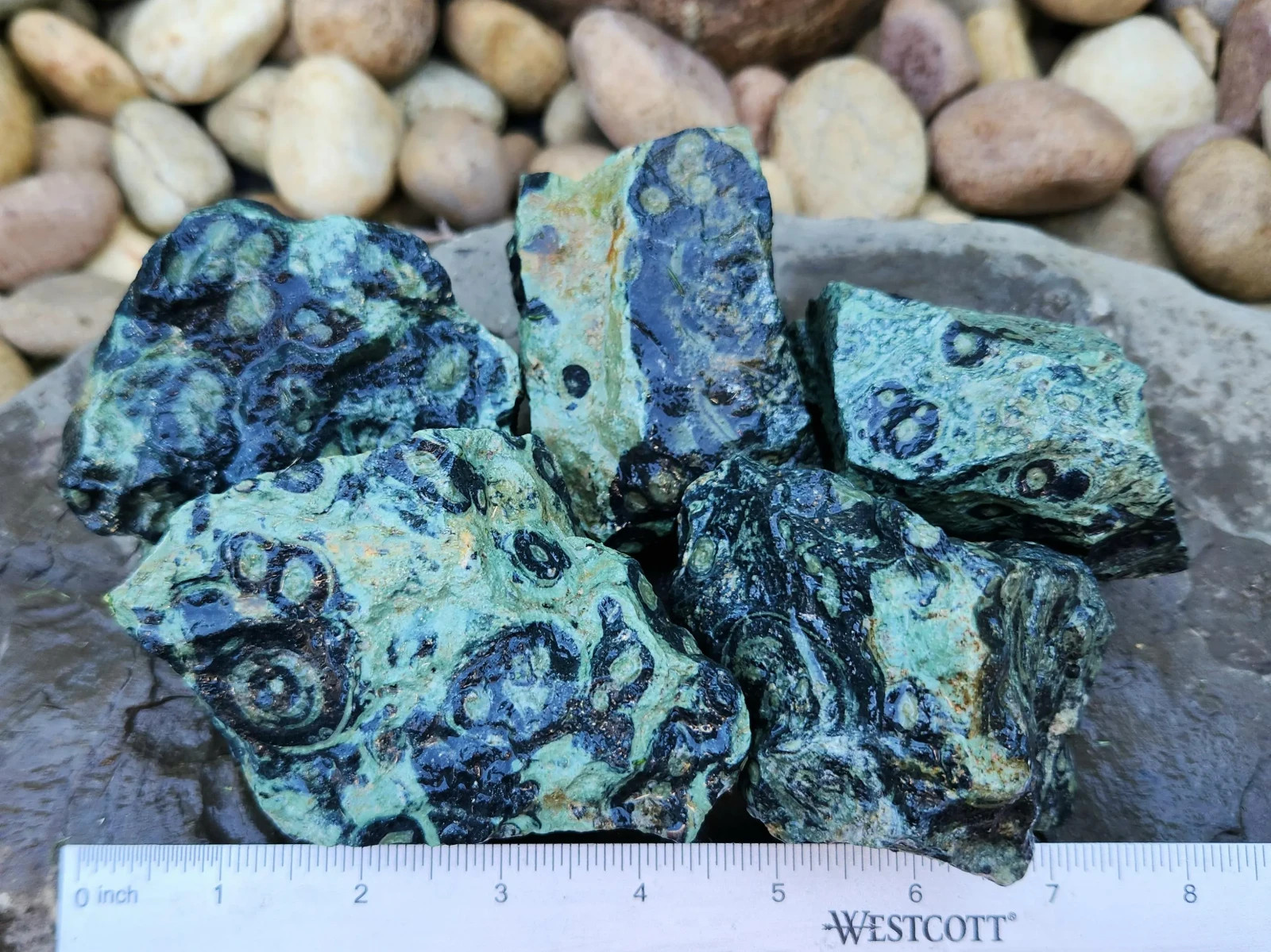 4.5 lbs Kambaba “Crocodile” Jasper – 5 Pieces – Ideal for Lapidary or Tumbling