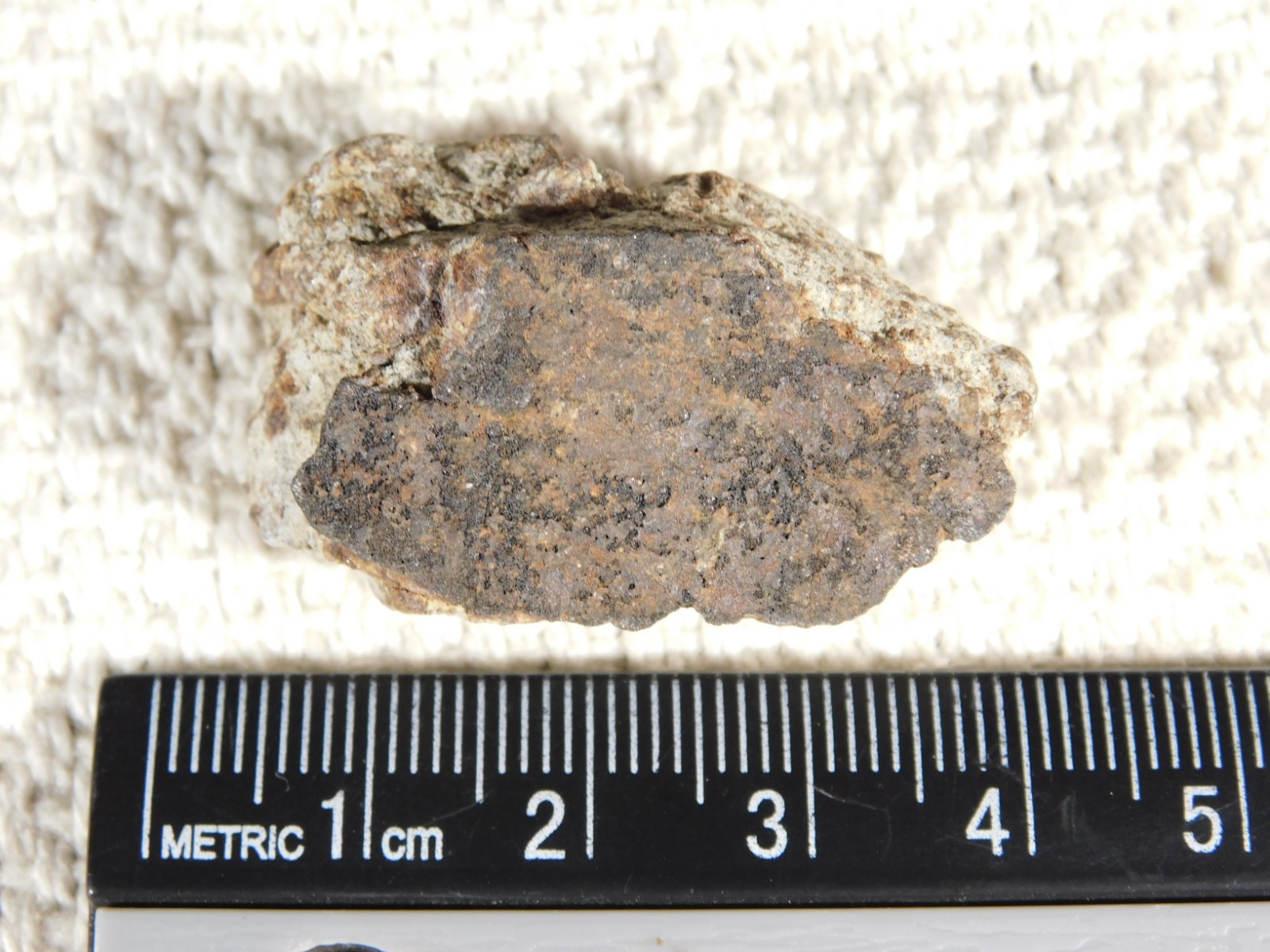 Classified NWA 8245 METEORITE Spots of Dark Fusion Crust! Erfoud, Morocco 21.0gr