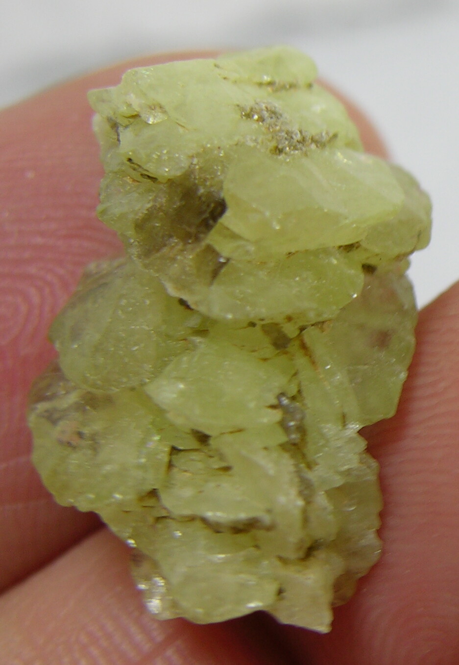 #1 16.50ct Pakistan Terminated Raw Titanite Sphene Crystal Specimen 3.30g 23mm