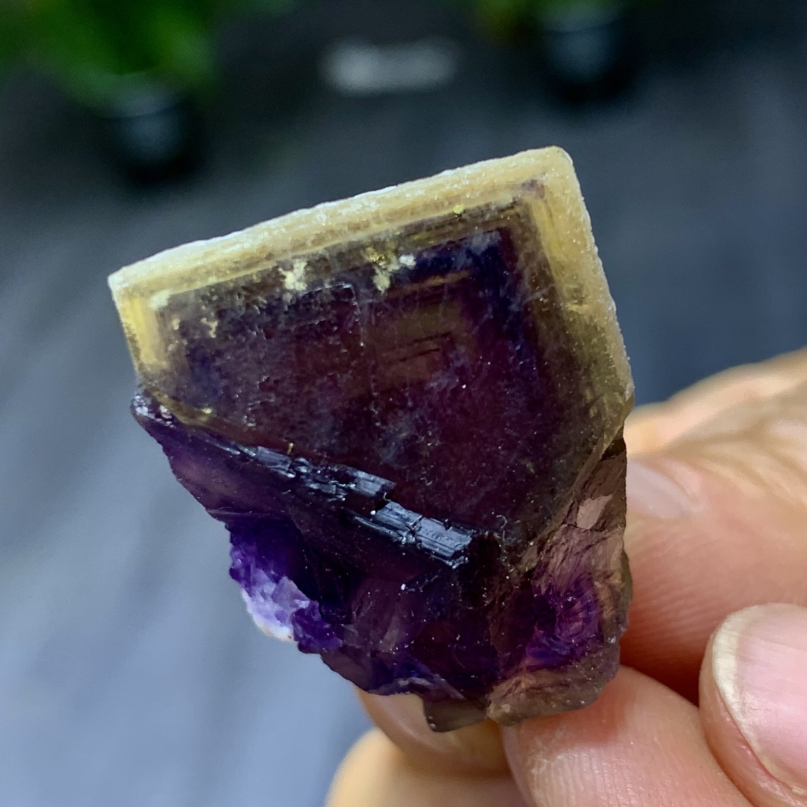 23G Rare transparent purple cubic fluorite mineral crystal sample/China
