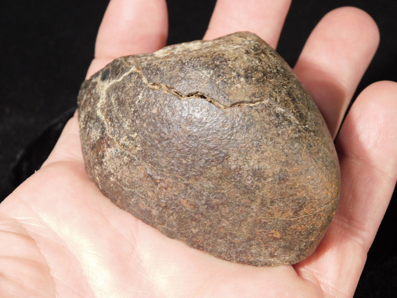Larger! ORIENTED N.W.A. Stone METEORITE with DARK Fusion Crust! Libya 229gr