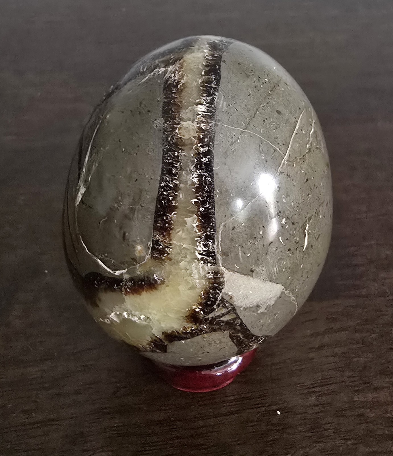 Polished Septarian Nodule Egg Display Specimen, 2.94 Inches, UV Reactive