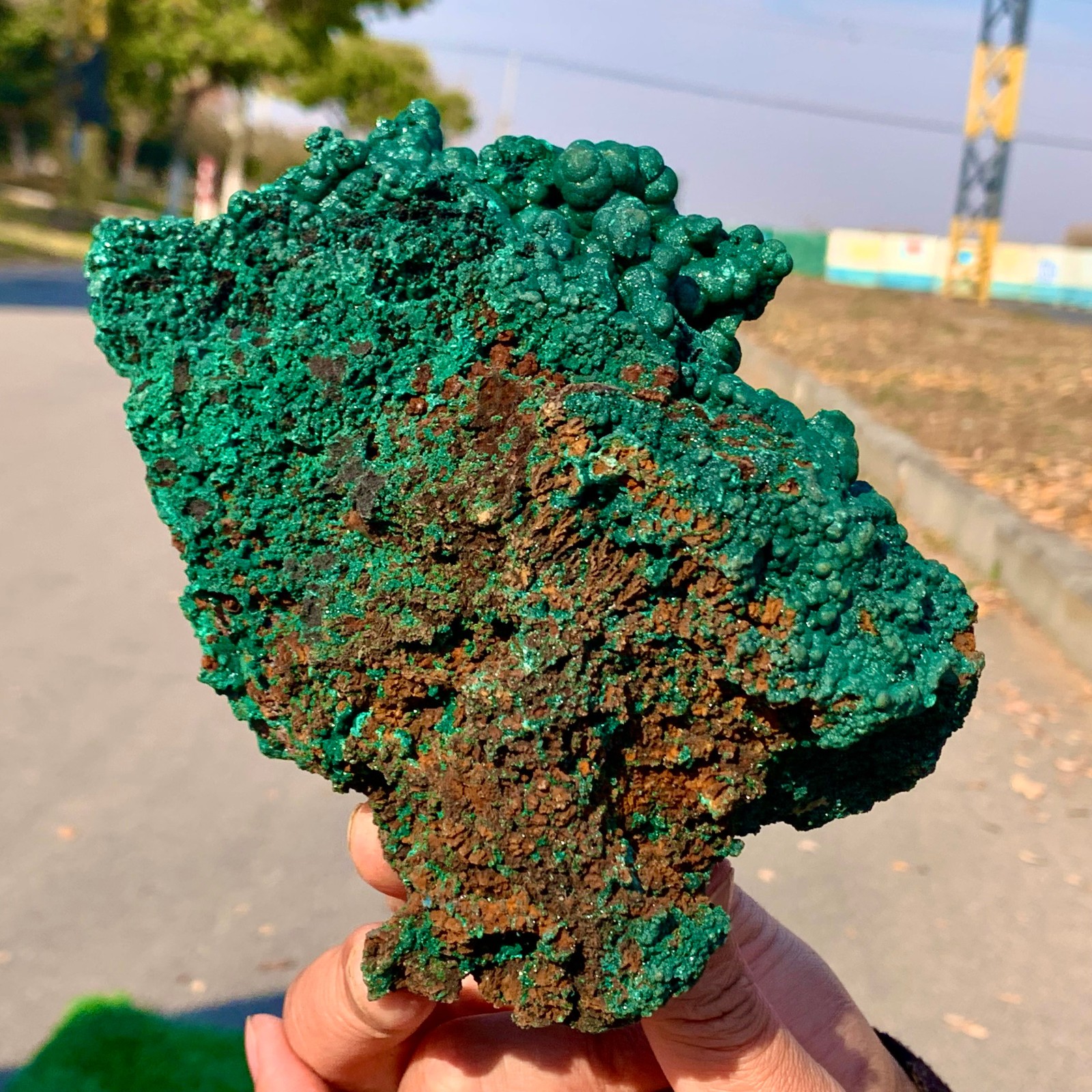 2.2LB Natural VELVET Azurite/Malachite cat’s eye specimen crystal mineral-Congo