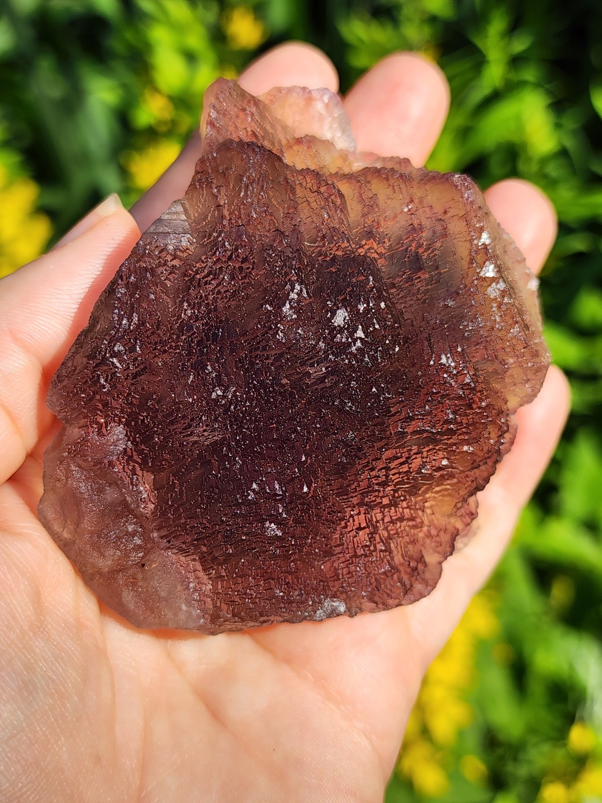 ✨️Terraced tricolor fluorite with chevron zoning Qinglong Mine, China✨️