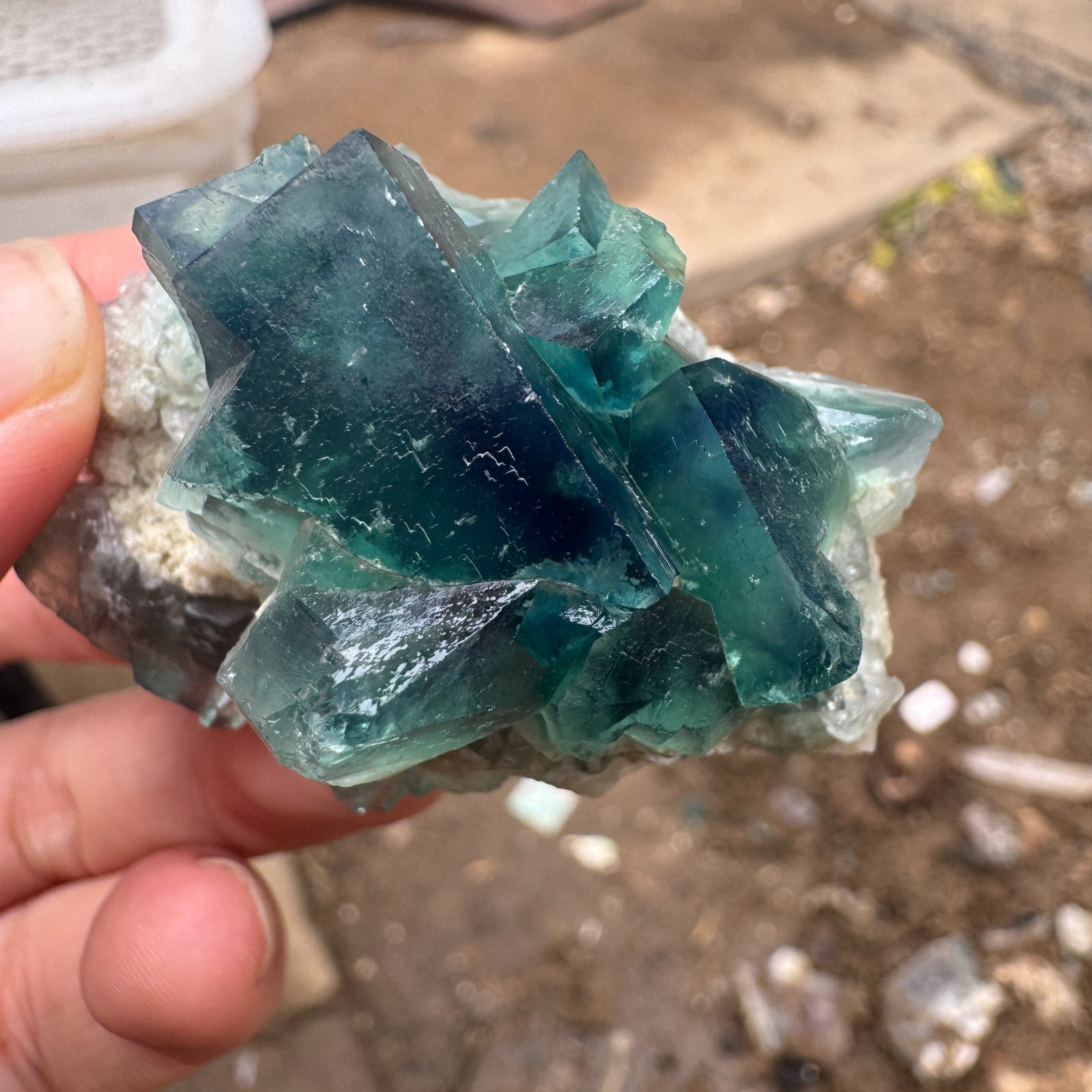 70G Natural cubic green fluorite crystal cluster rough mineral specimen Healing