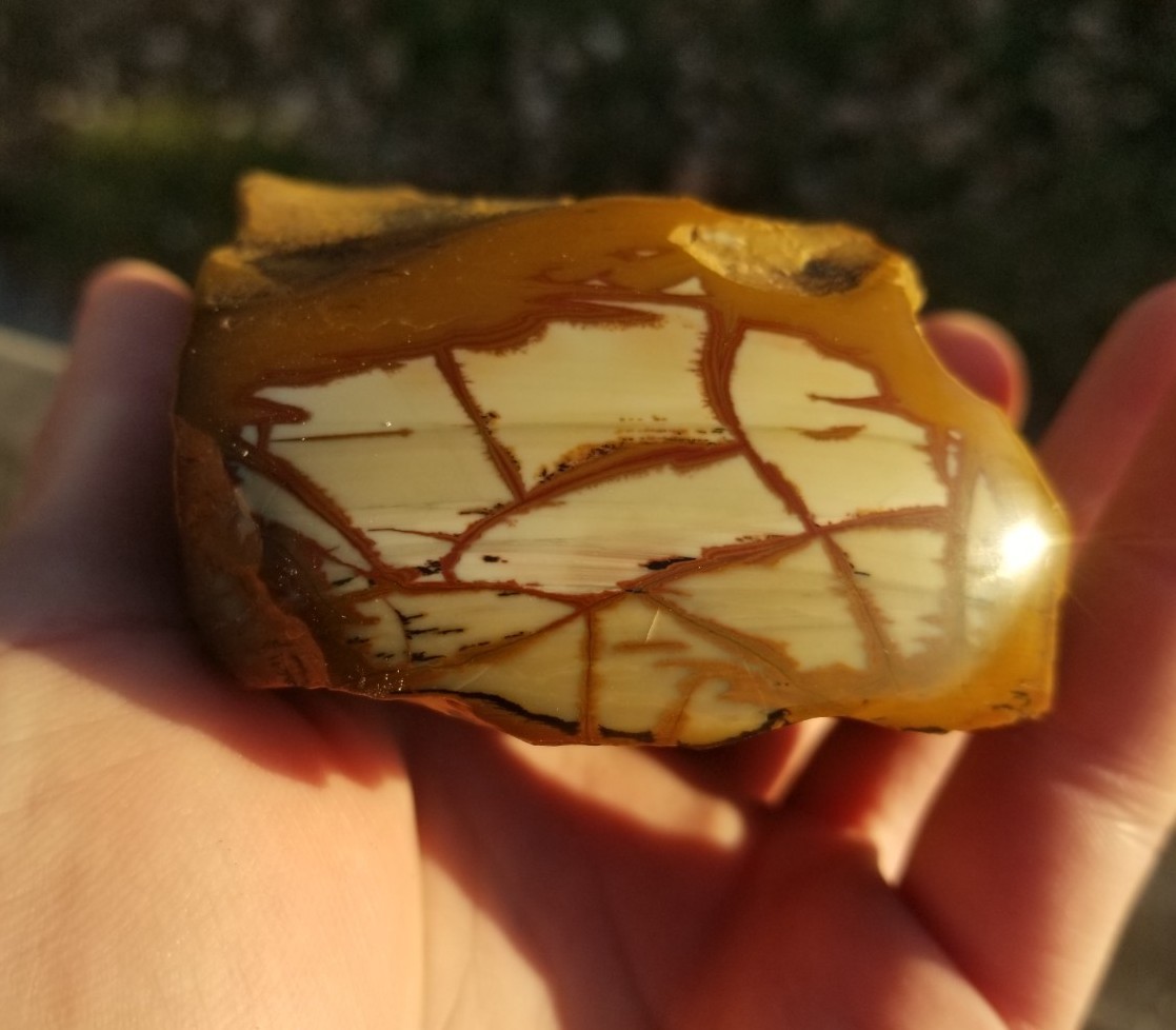 Nice End Polished Gem Grade Owyhee Picture Jasper Specimen 13.5oz Oregon Display