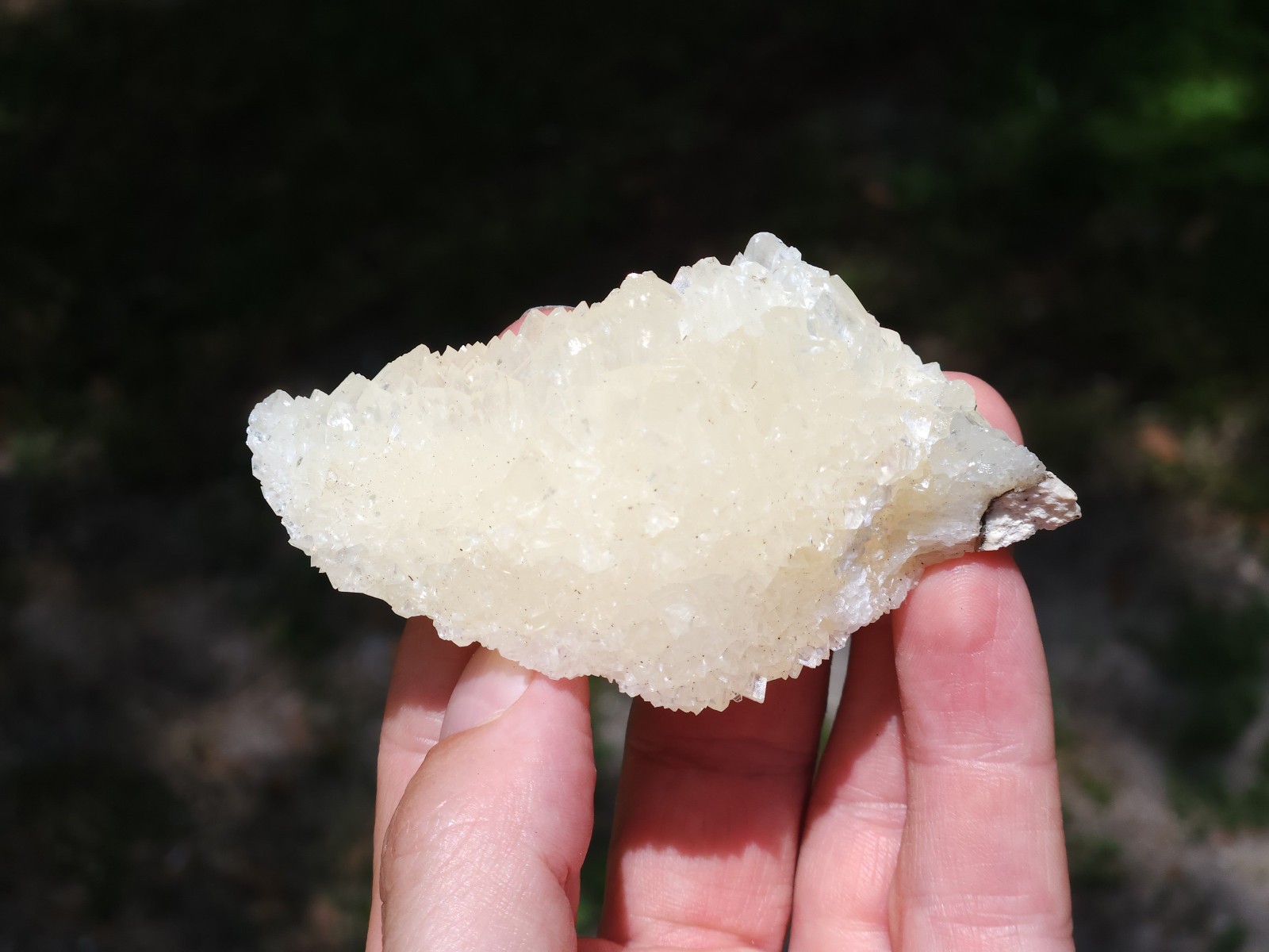 Florida Calcite Crystal Collection 5 pieces LOT Honey Clusters UV Mineral