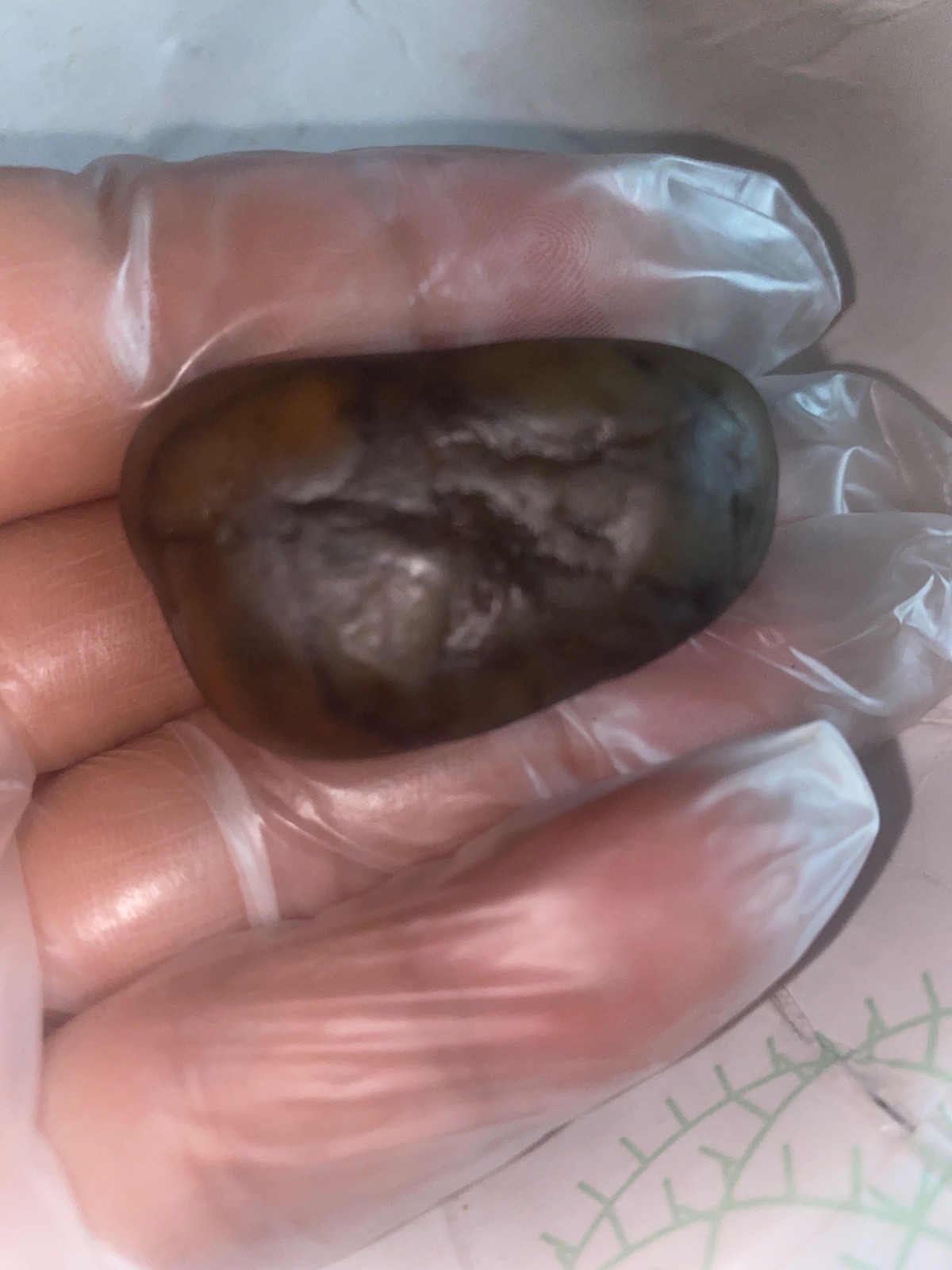 Beautiful river tumbled raw spider Jasper