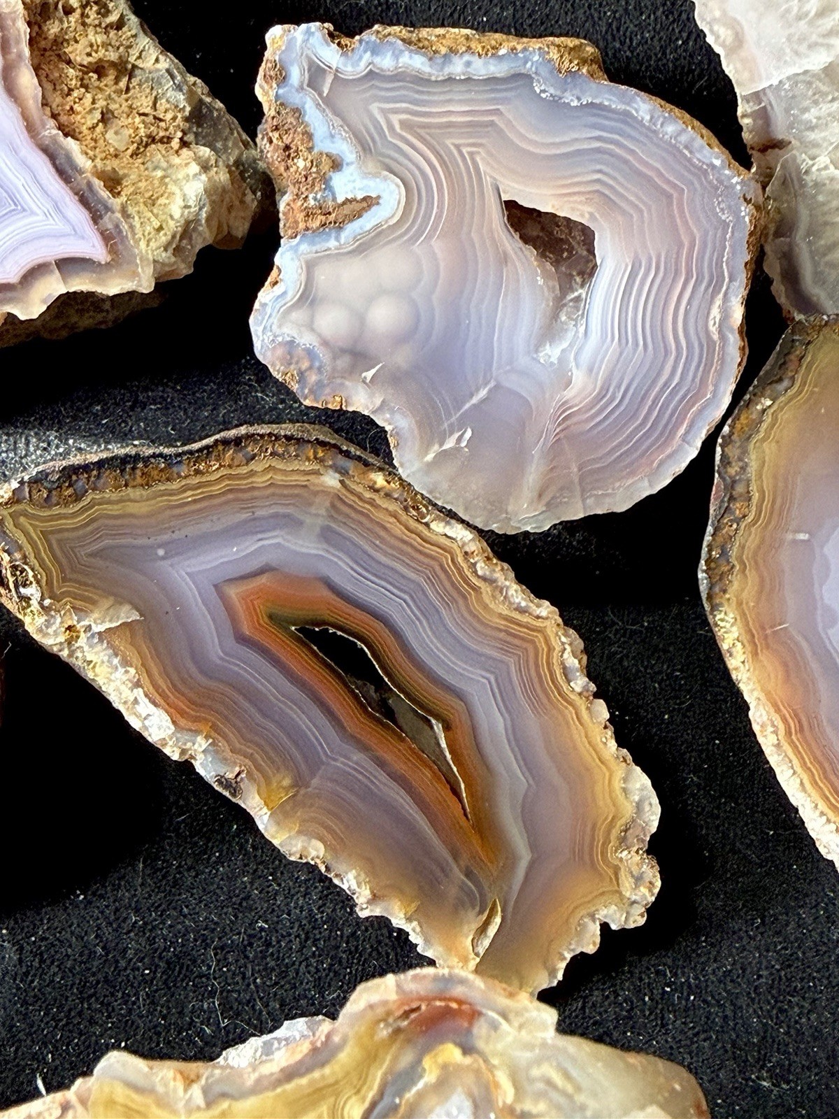 Huge Collection of Coyamito Agates. Mirror Polished Mexico. HARDAGATES