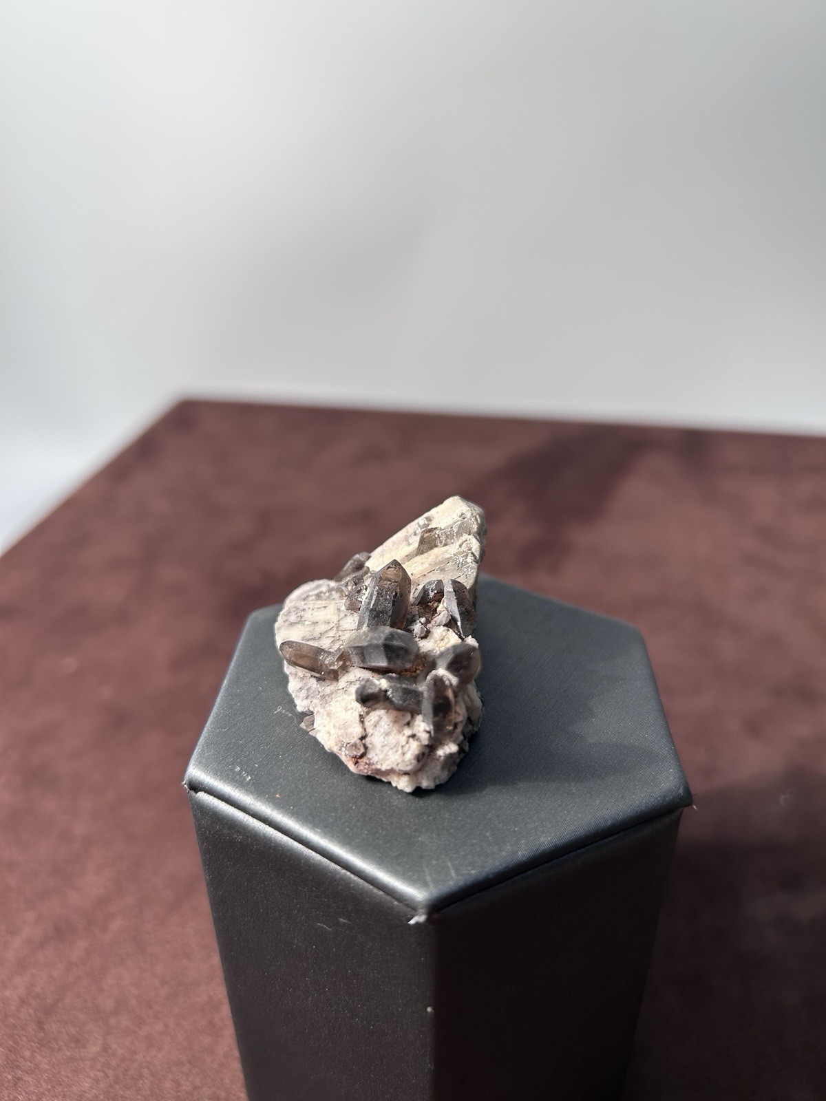 Smoky Quartz on Microcline Colorado Crystal Lined Pocket Miniature Mineral
