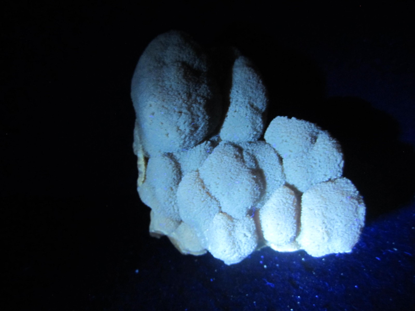Aragonite Botryoidal Crystal Cluster, Pachacayo Mine, Peru #22