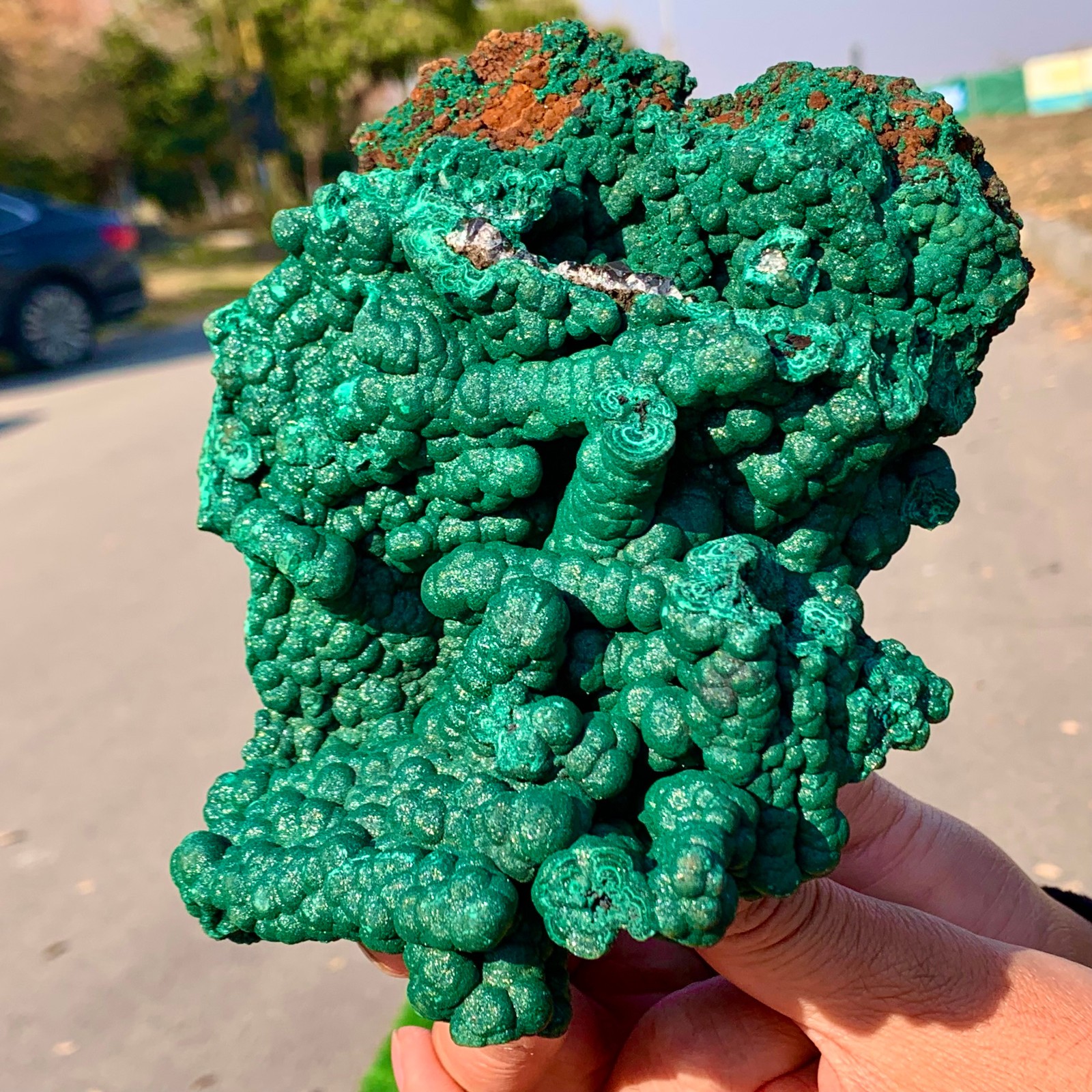 2.2LB Natural VELVET Azurite/Malachite cat’s eye specimen crystal mineral-Congo