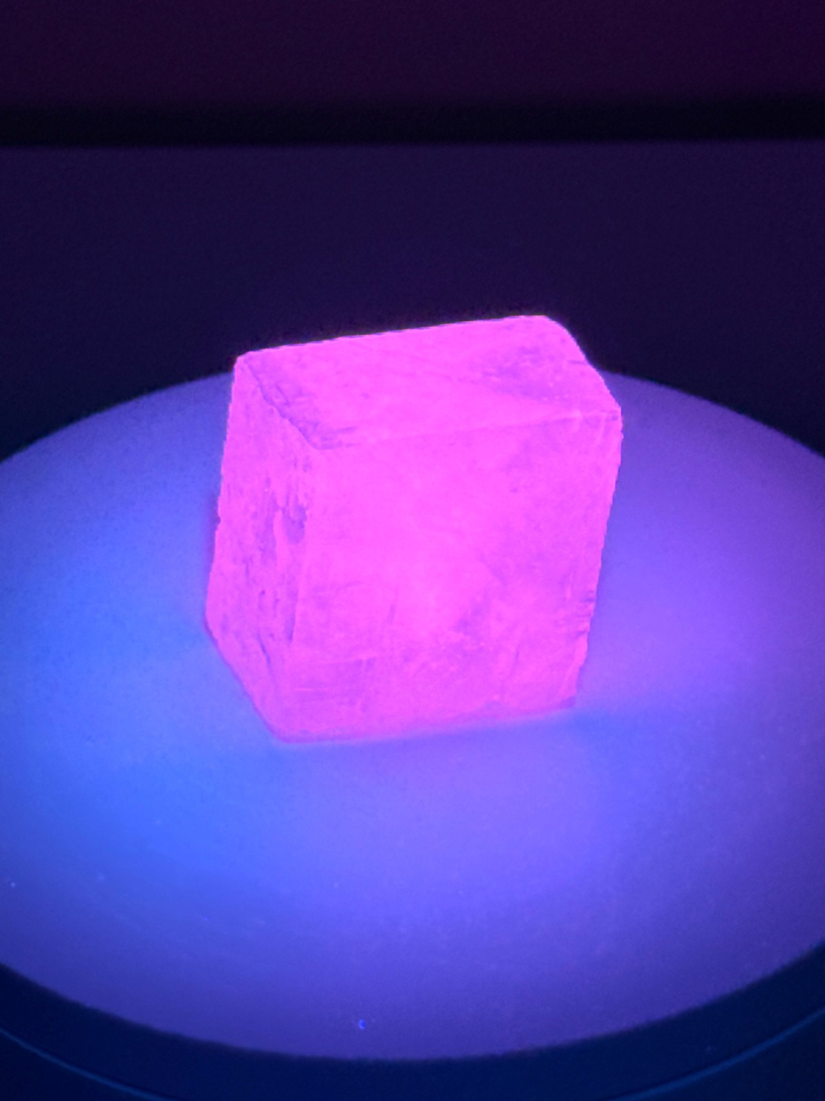 RADIANT Iceland Spar Calcite Crystal Specimen w/ Terlingua-like Fluorescence