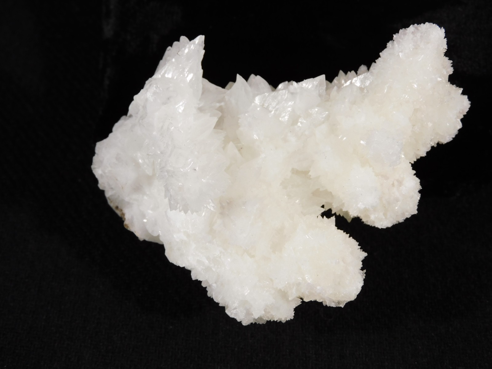 Bright White! CAVE Aragonite STALACTITE Crystal Cluster Mexico 145gr