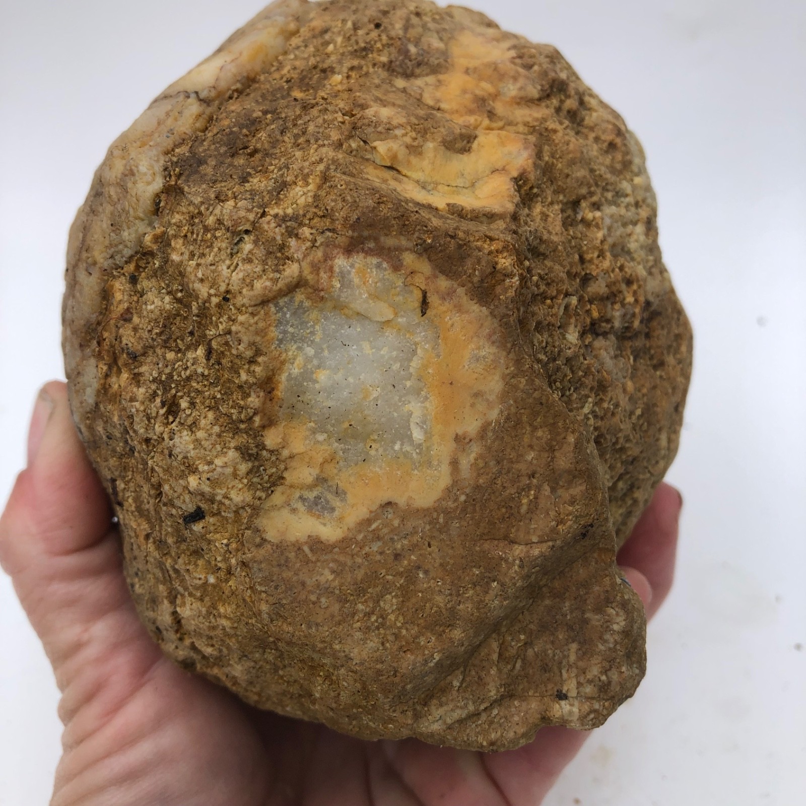 4 lb Unopened Kentucky Geode Rattler Break Your Own Hand Picked Natural Quartz