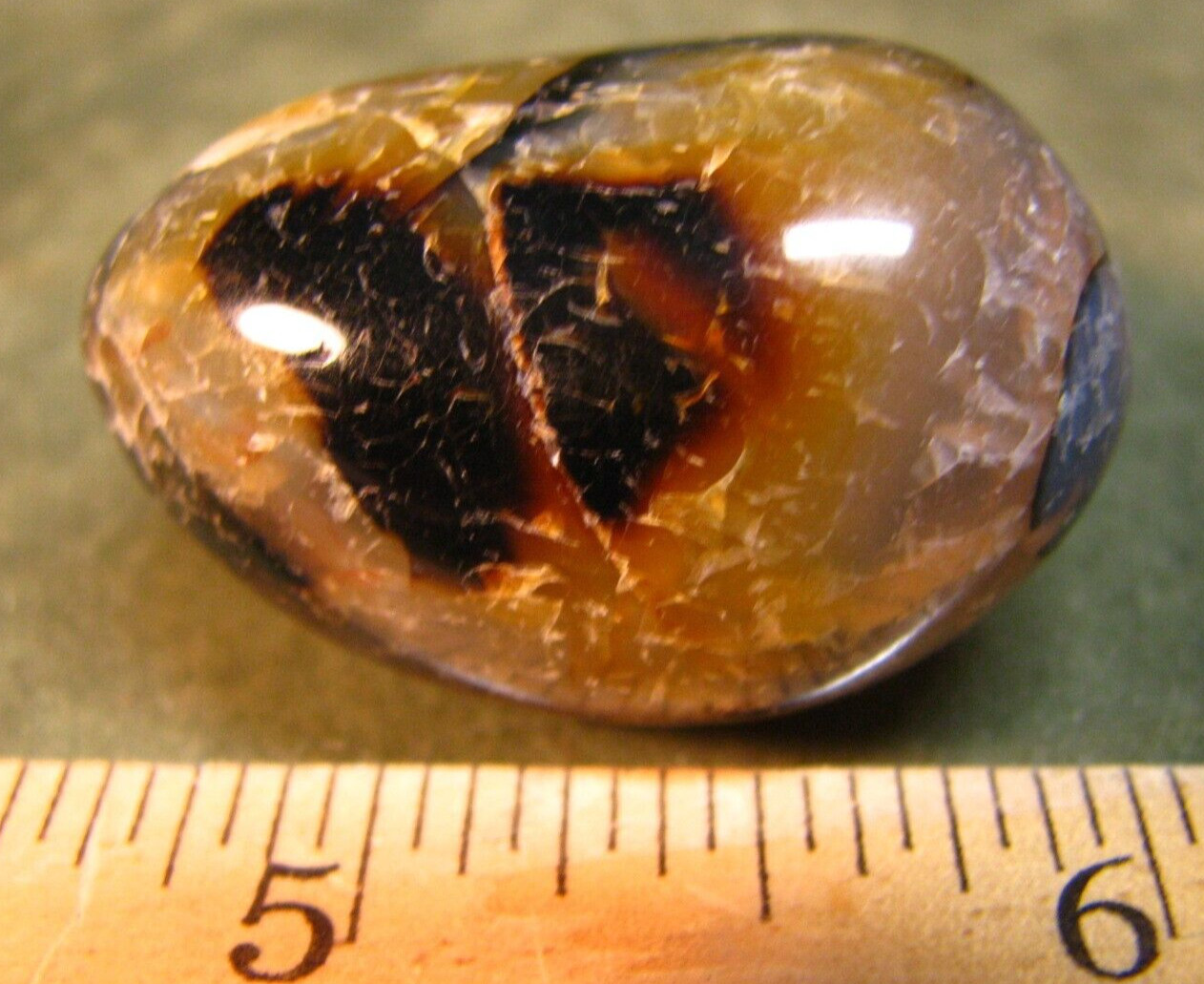 41g 40mm DENDRITIC CHALCEDONY AGATE PALM STONE MADAGASCAR MAD CRAZY LACE #014