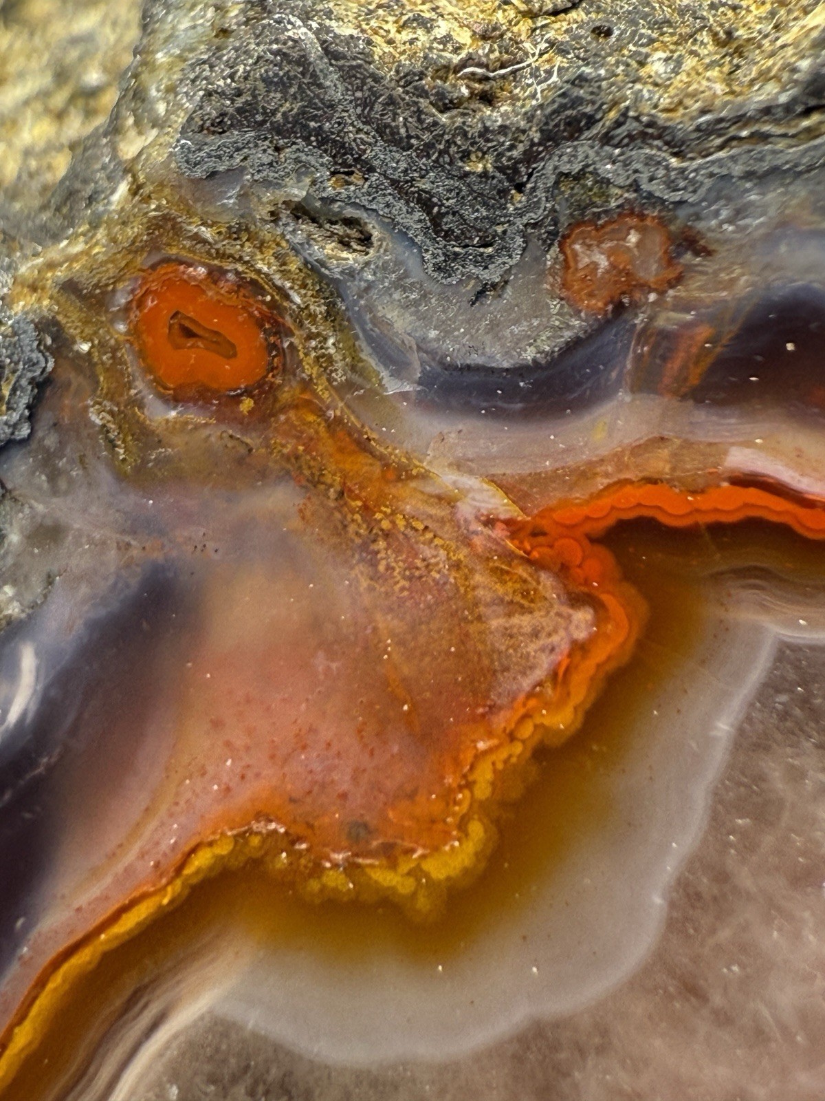 SEE VIDEO High-Grade Multicolor Moroccan Agate | High Atlas | Collector Specimen