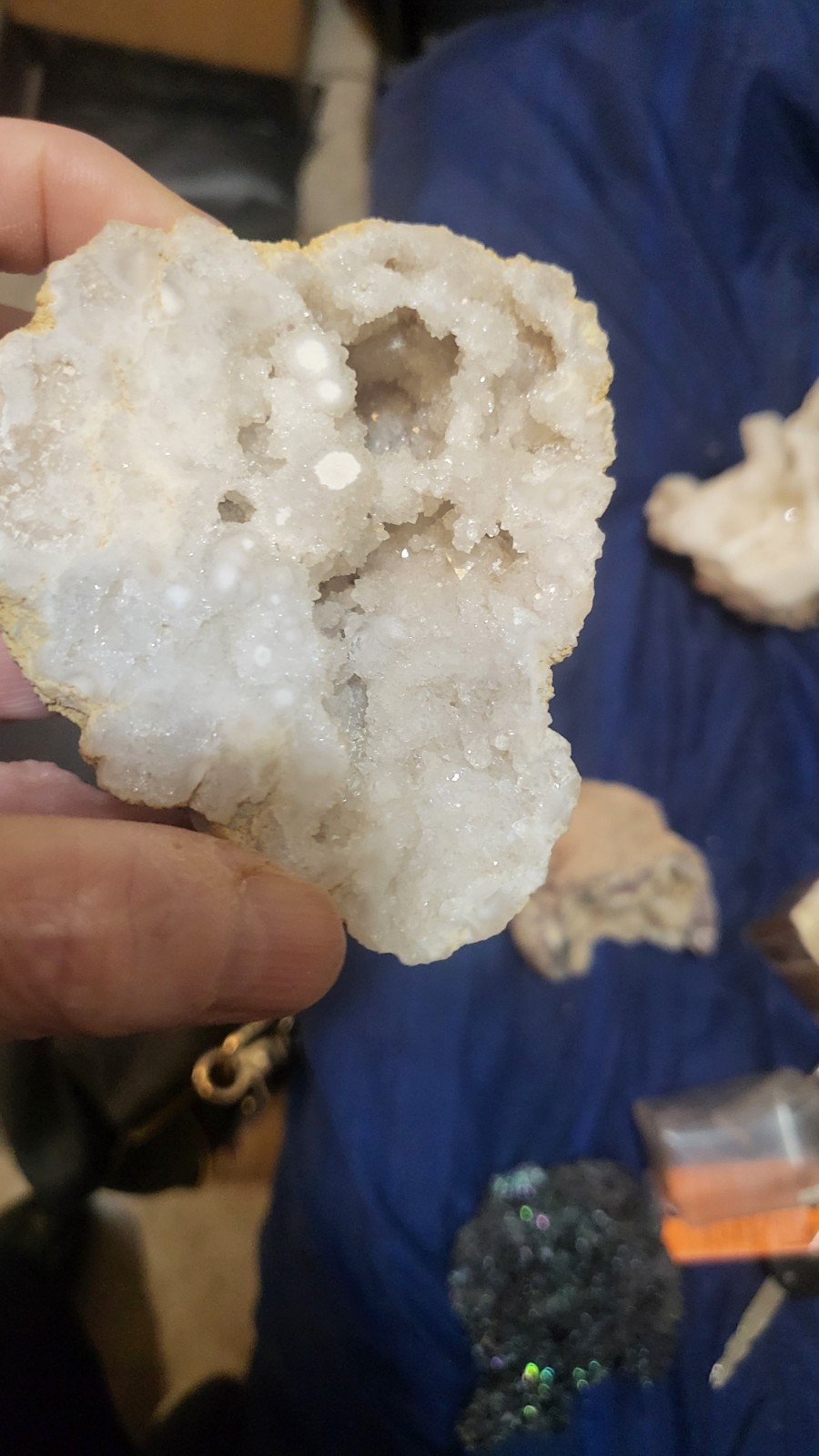 Highly Prized Rock and Mineral Collection