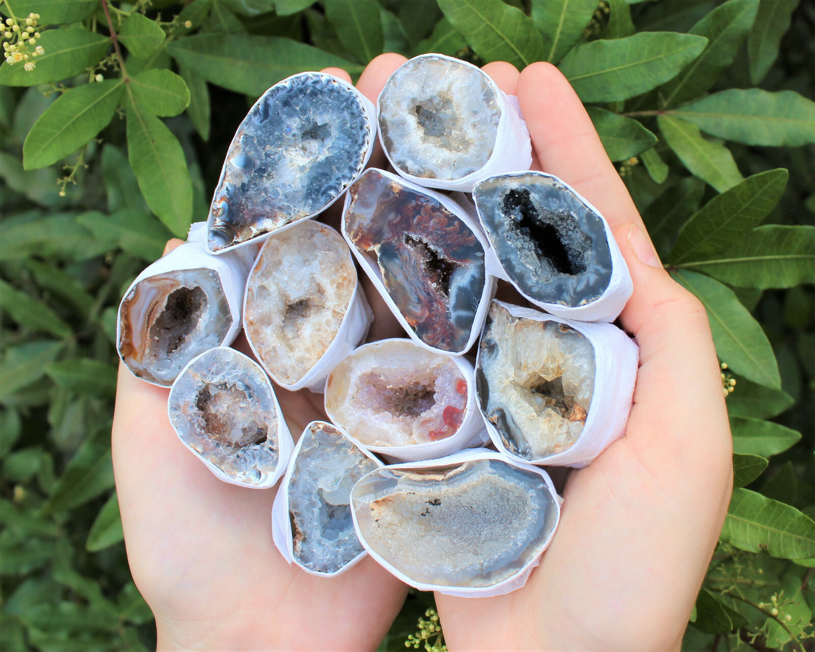 Small Oco Agate Geodes, Natural Crystal Druzy Halves, Bulk Wholesale Lots!
