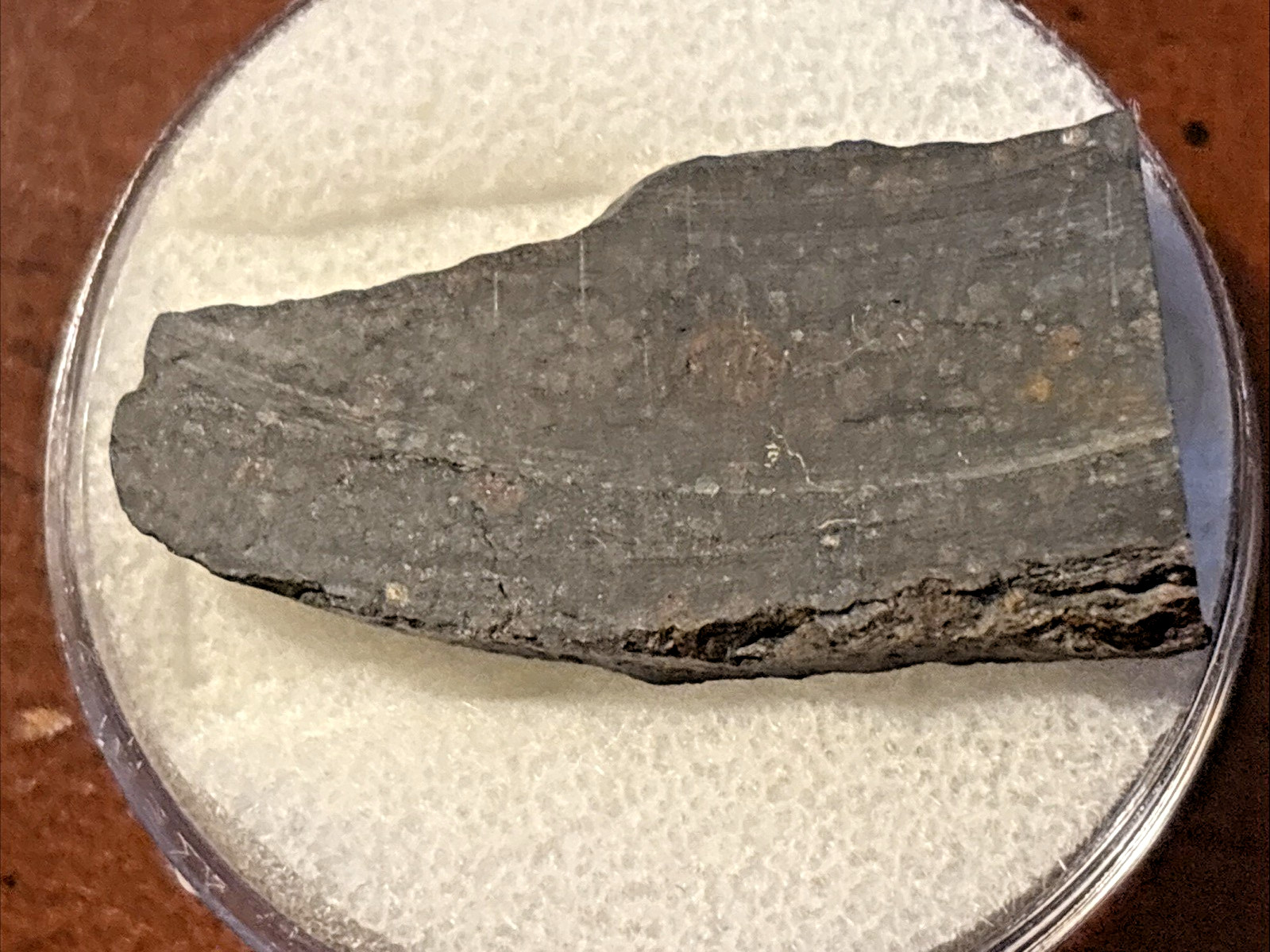 6.7 gram -NWA 11256 Meteorite specimen (CV3) carbonaceous found in Africa
