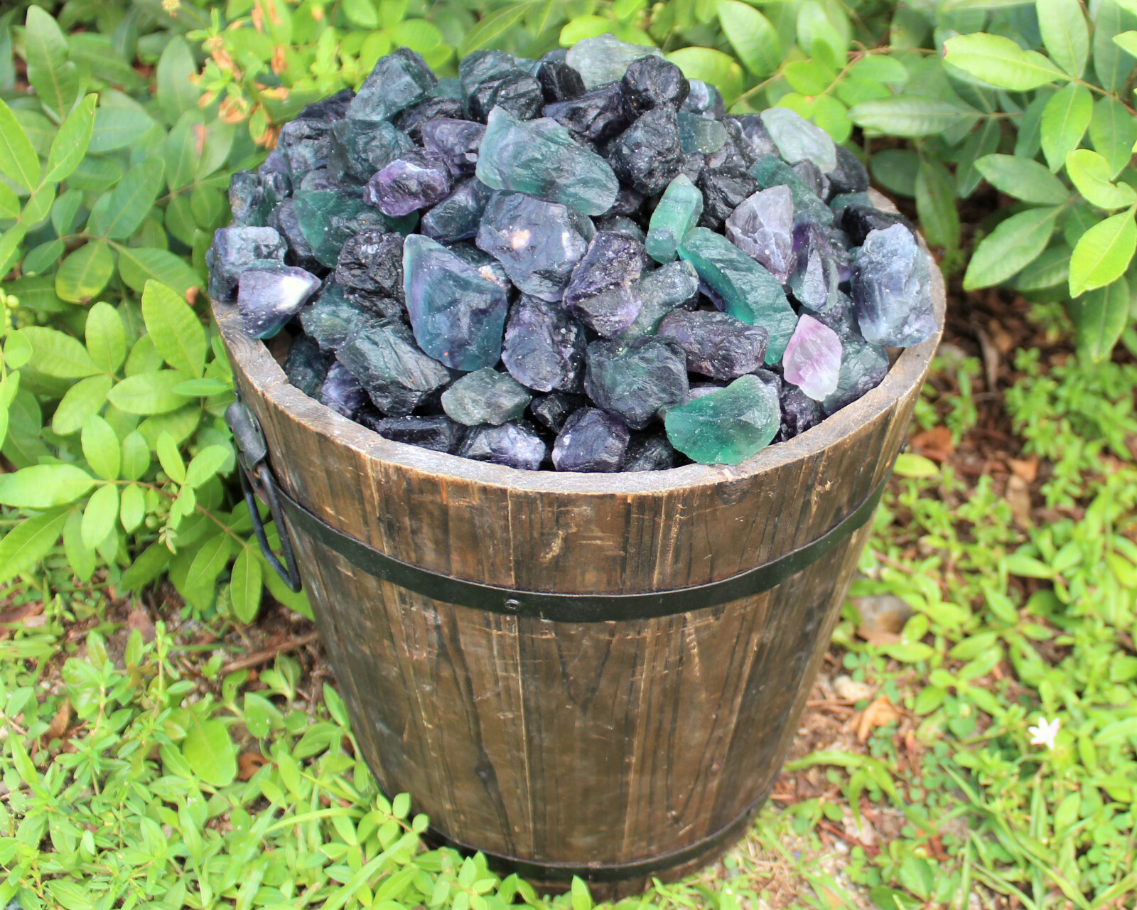 Raw Fluorite Natural Crystals: Choose How Many Pieces (Rough Rainbow Fluorite)