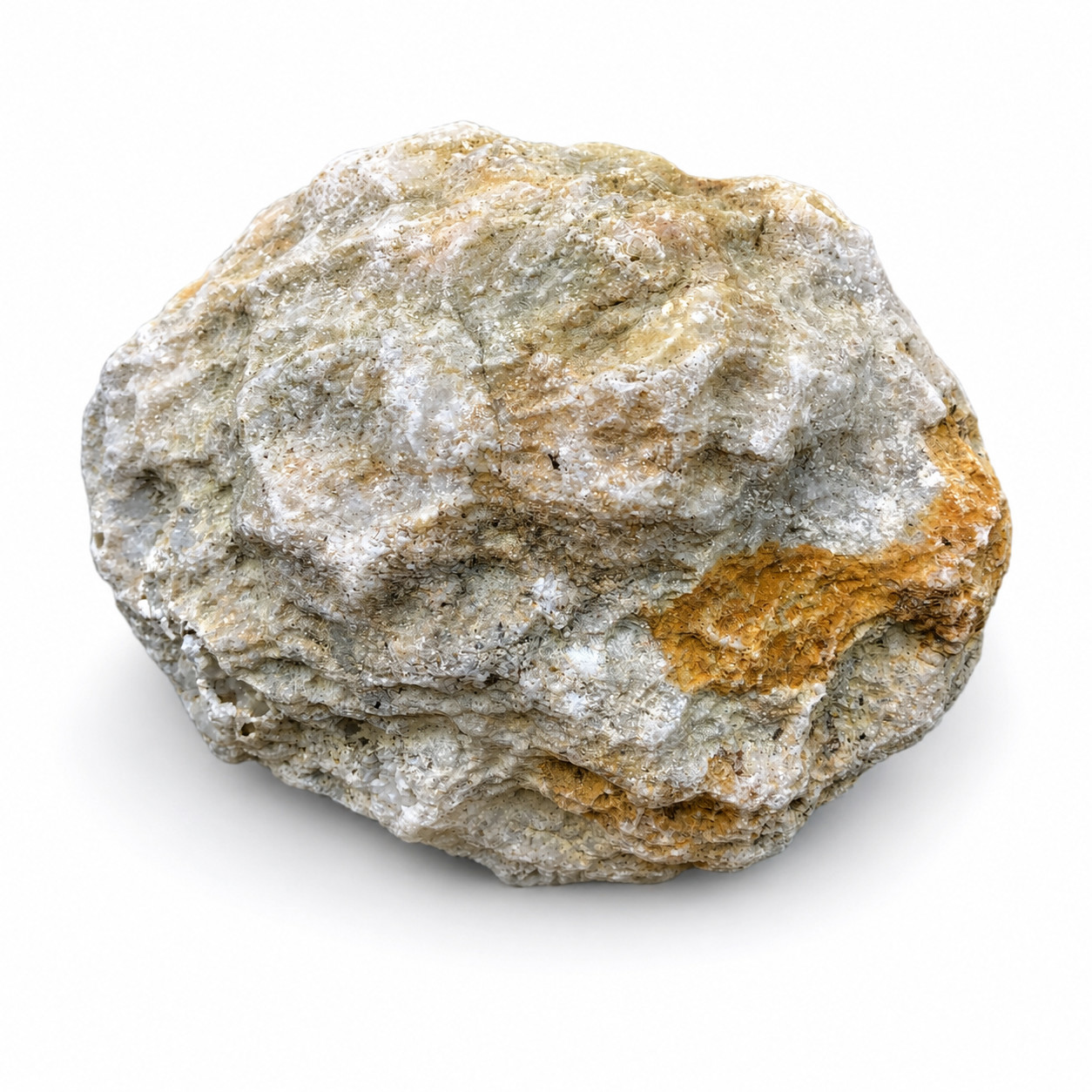 Large Natural Kentucky Geode 4.04 lb 6 in Whole Unopened Exact Mineral Specimen