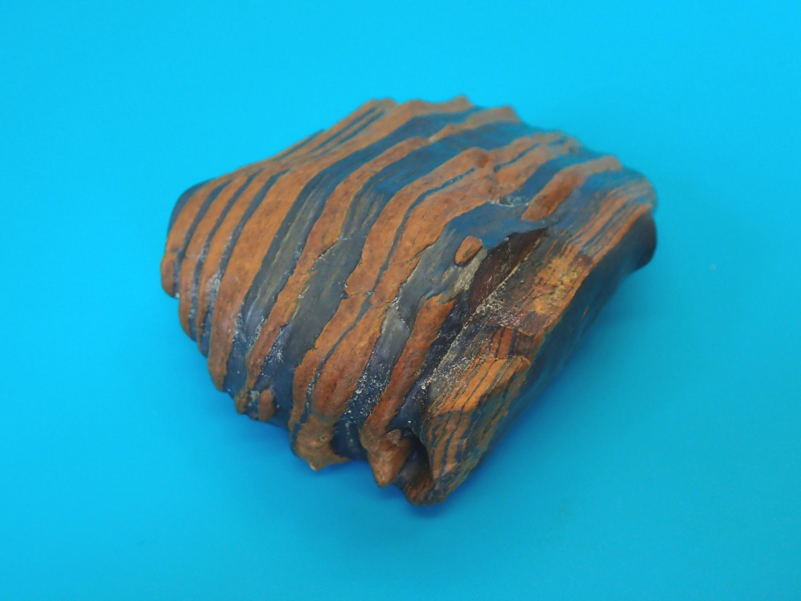 Banded Iron, Tiger Iron, Seer Stone, Genesis Stone, Banded Iron Formation, BIF
