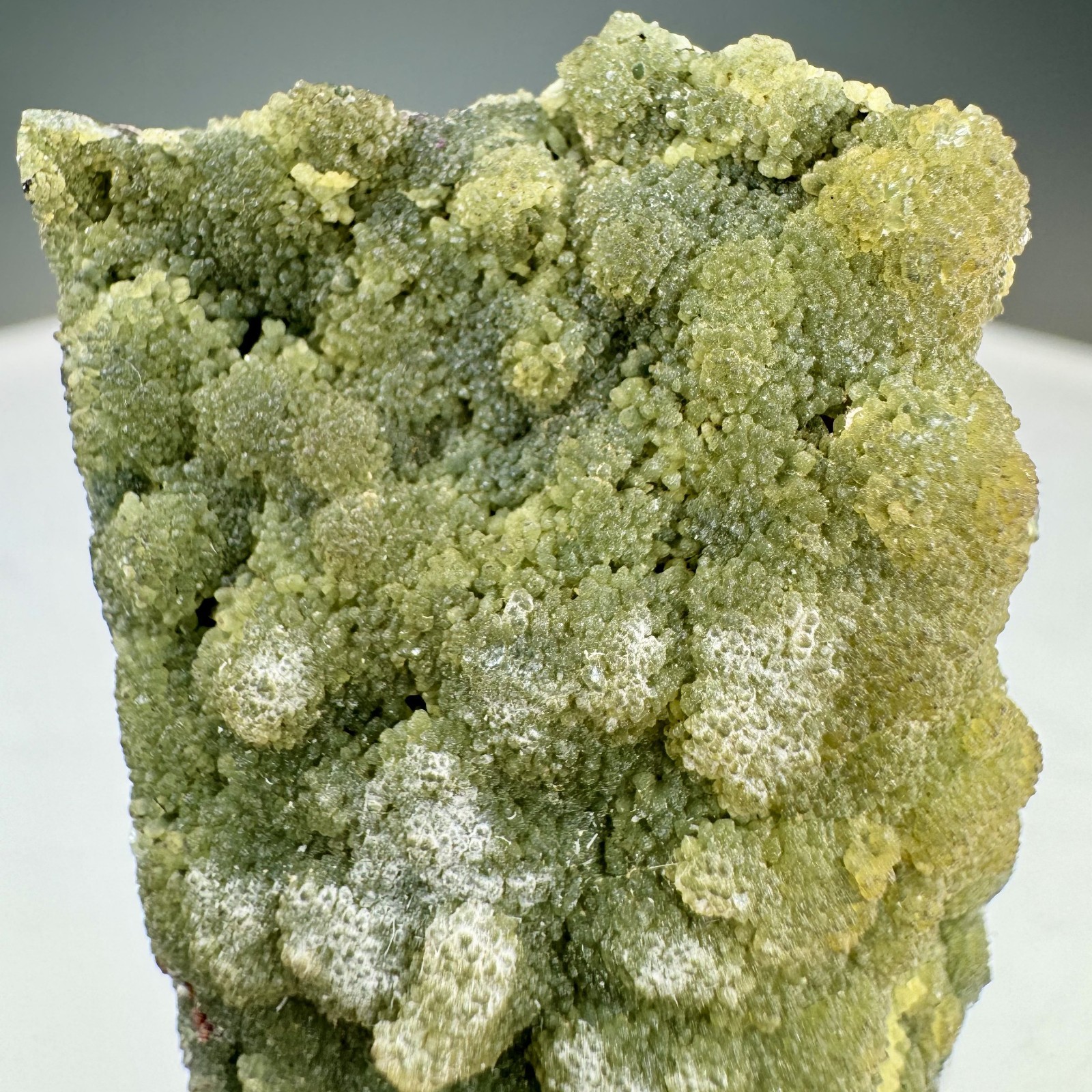Beautiful Solid Green Smithsonite: Tsumeb Mine, Tsumeb, Namibia- Unusual!!