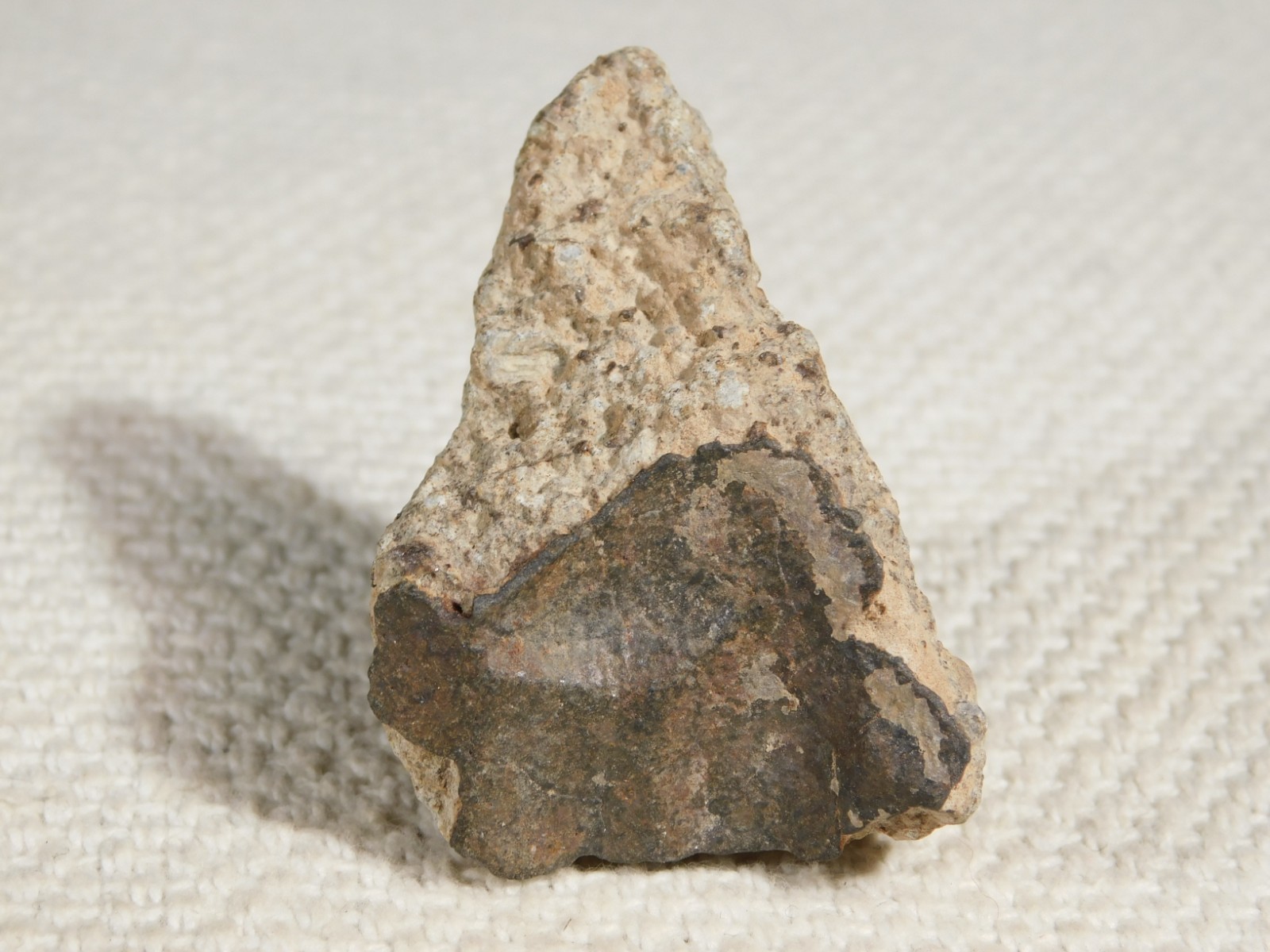 Classified NWA 8245 METEORITE Spots of Dark Fusion Crust! Erfoud, Morocco 55.4gr