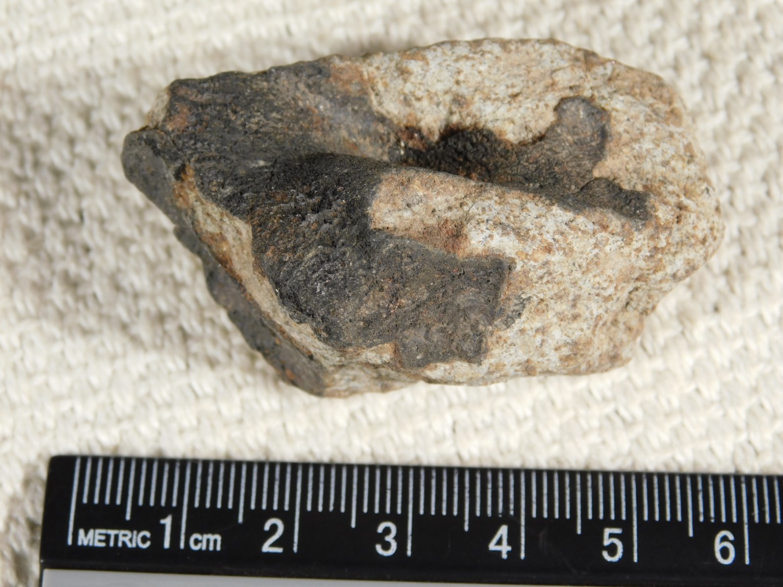 Classified NWA 8245 METEORITE 100% Natural FELL on Erfoud, Morocco 68.1gr