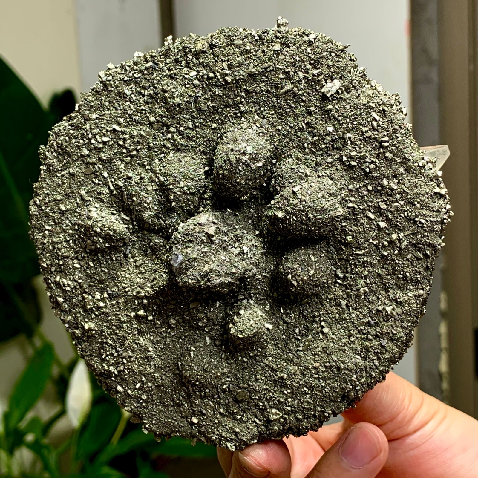 492G Coexistence of natural quartz and pyrite green fluorite crystal clusters