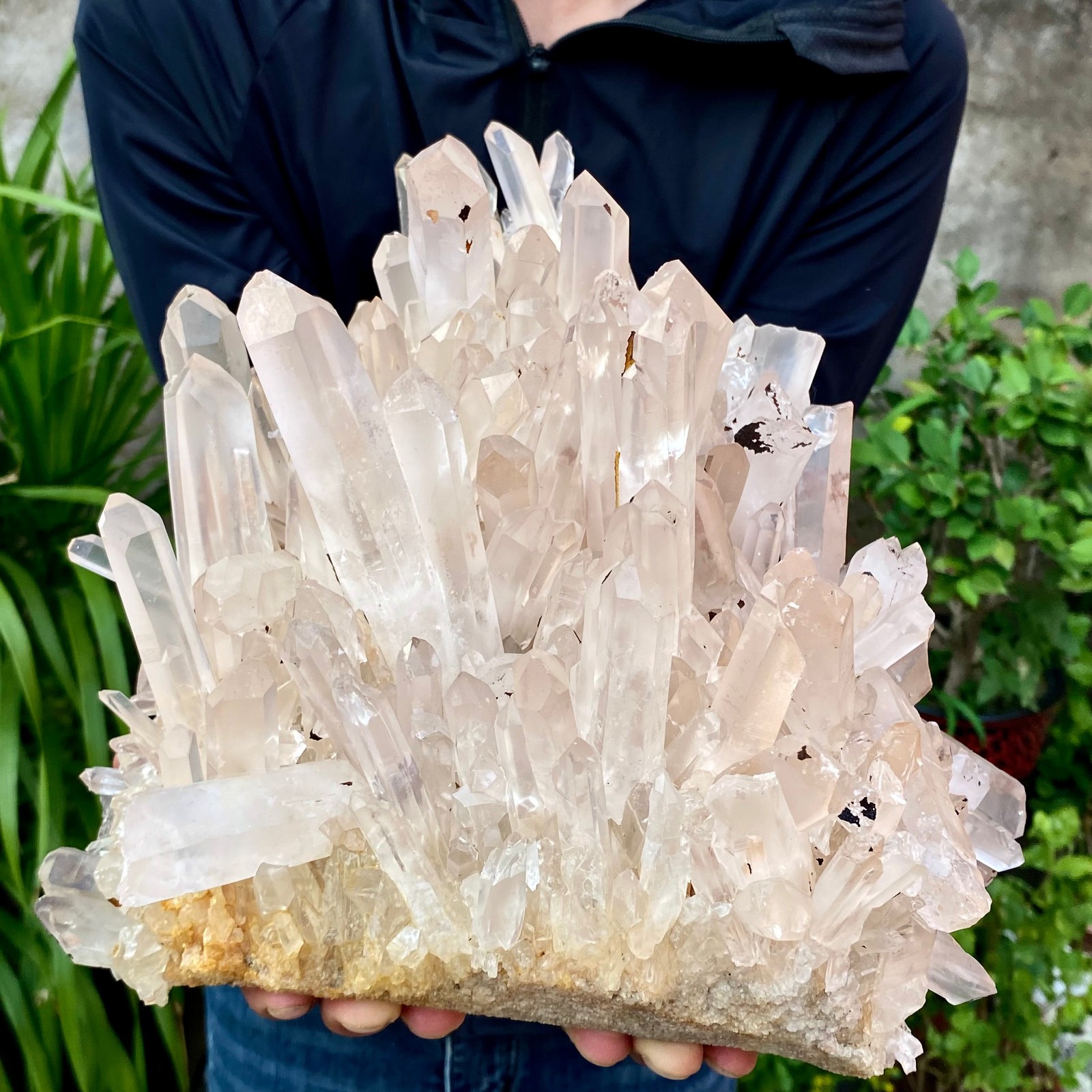 23.69LB ransparent, natural and beautiful white quartz crystal cluste