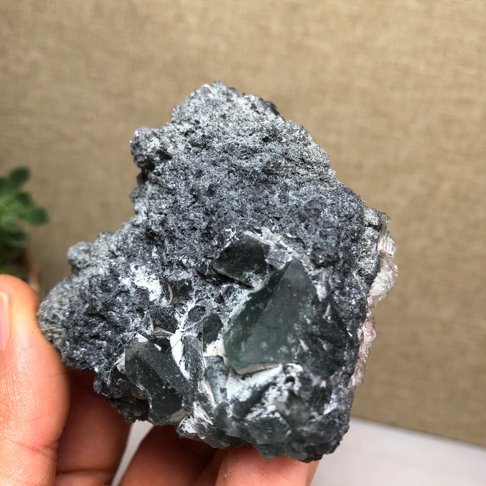 97g NATURAL Green Cubic FLUORITE Crystal Cluster Mineral Specimen A4736