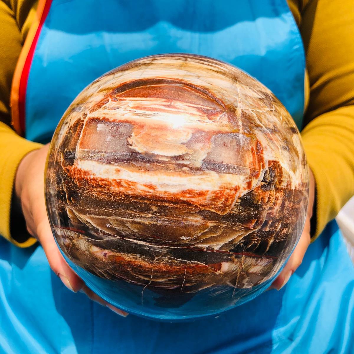 8.18LB Rare Natural Petrified Wood Ball Crystal Quartz Mineral Healing 4698