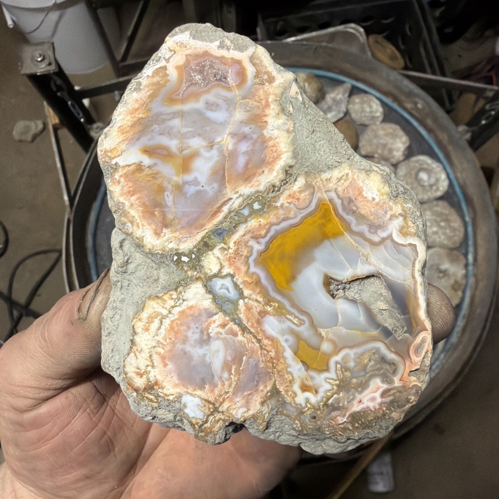 5 Mirror Polished Kentucky Agate Specimens. Nice Variety Fortifications Banding