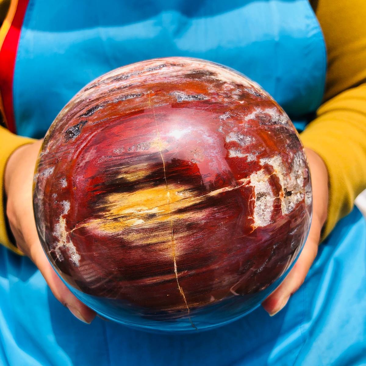 5.06LB Rare Natural Petrified Wood Ball Crystal Quartz Mineral Healing 4705