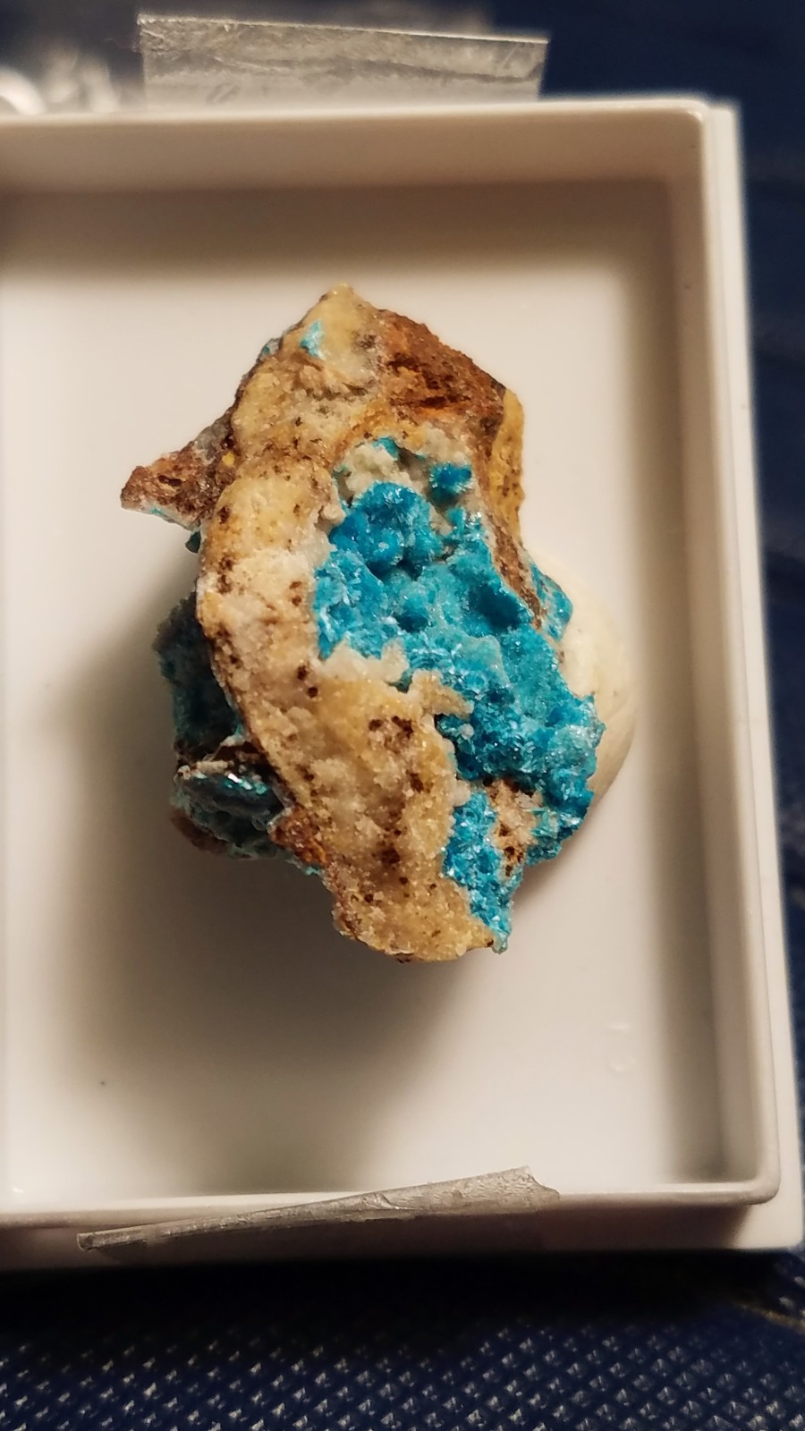 SiG: Blue-Green Greenish-Blue Serpierite Crystals Clusters on Matrix from Greece