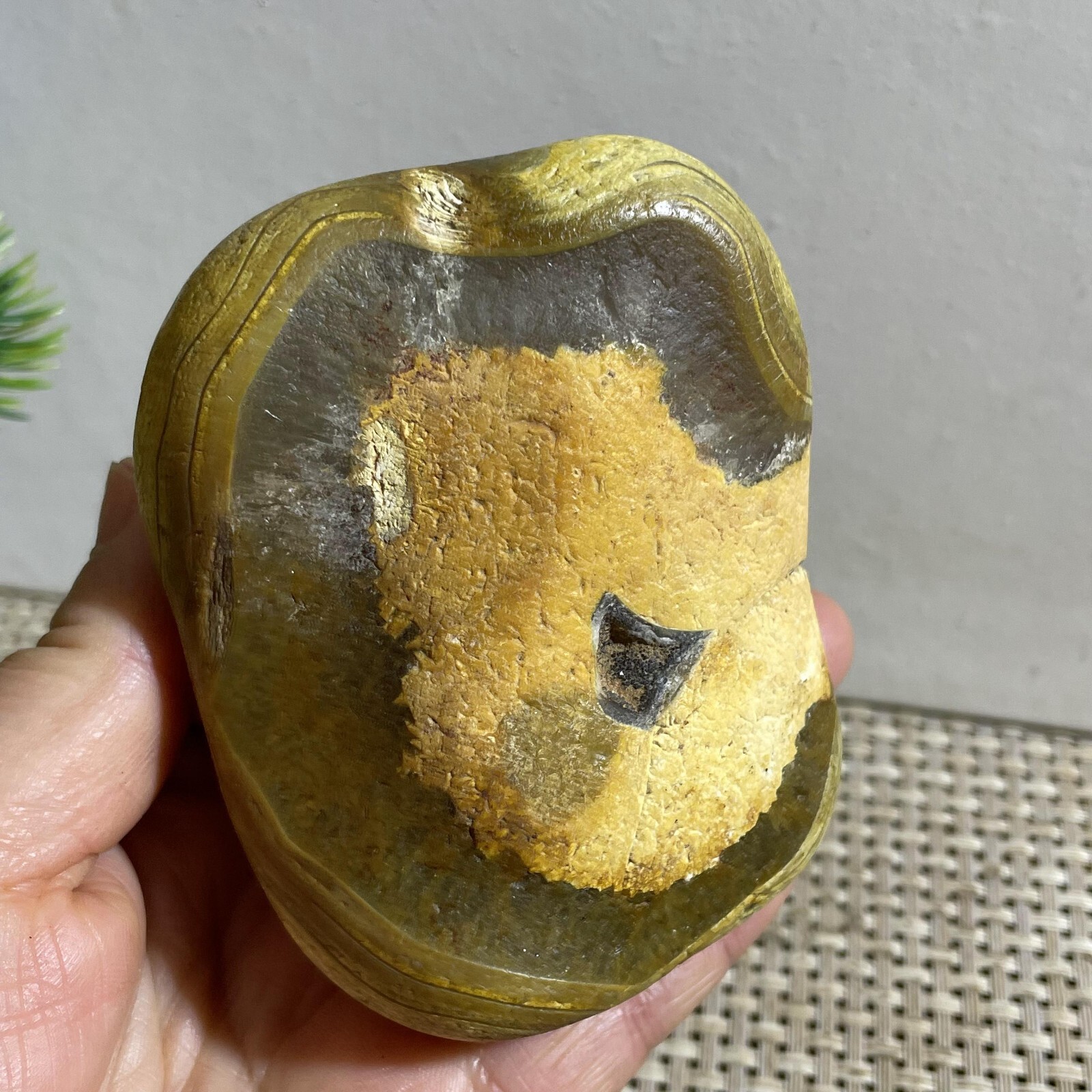 352g Bonsai Suiseki- Gobi Agate Eyes Stone-Rare Stunning Viewing