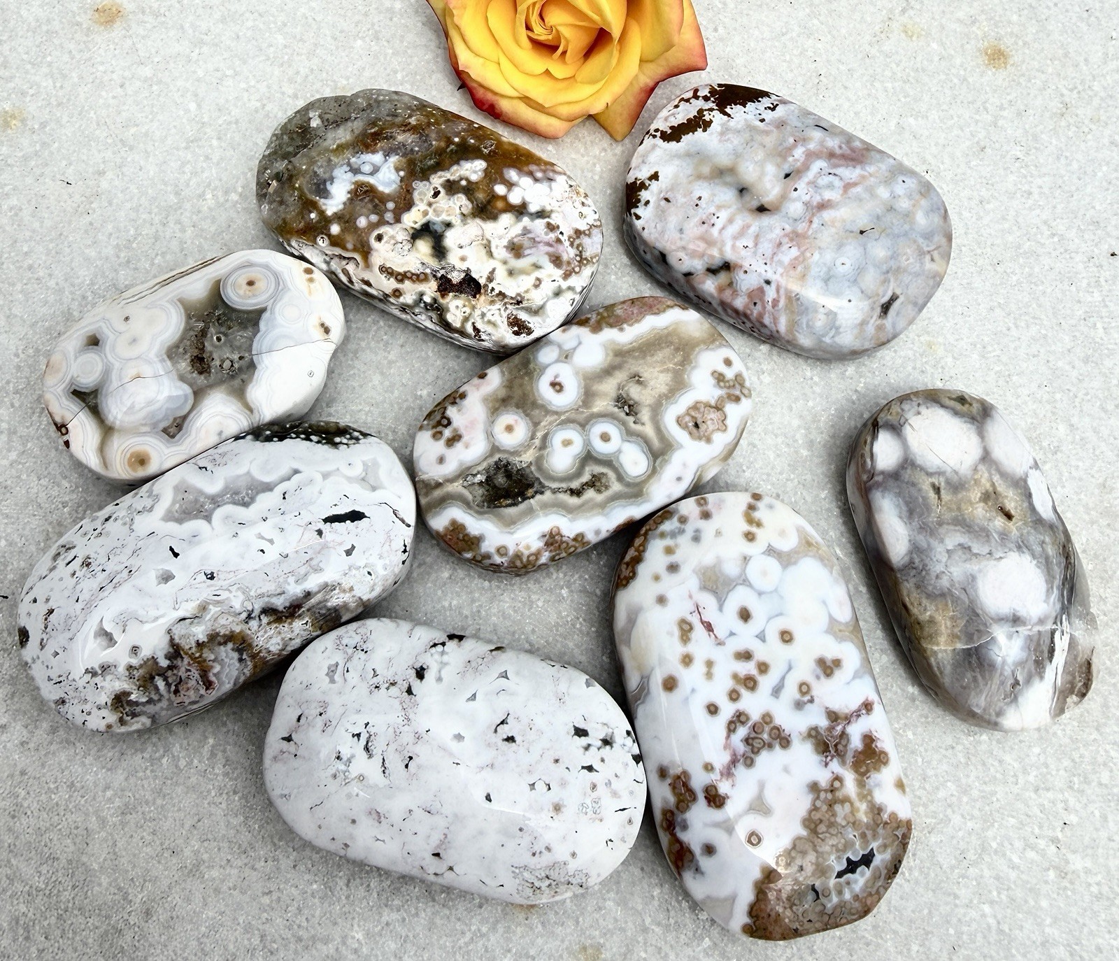 Wholesale Lot 1 Lb Natural Ocean Jasper Palm Stone Crystal Healing Energy.